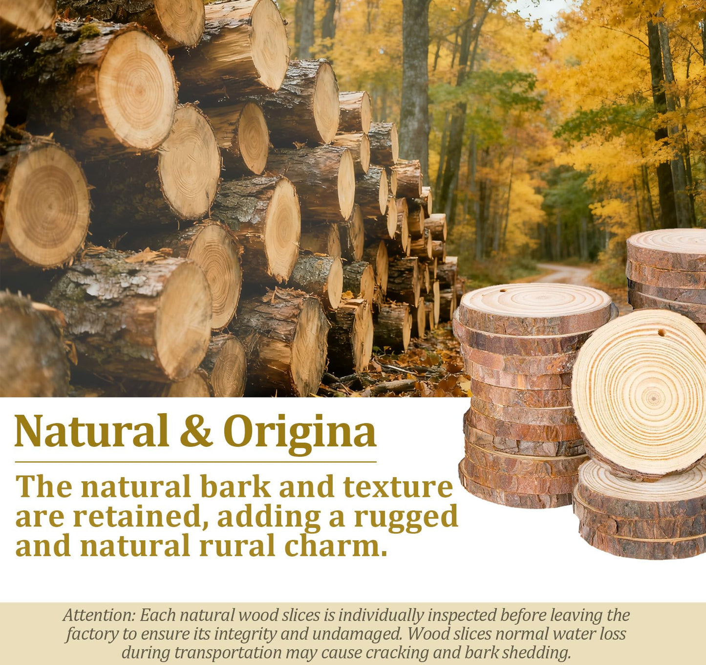 Timburst 60 Pcs Wood Slices, 1.7"-2.1" Pre-Drilled Holes Wood Discs for Crafts, 66 FET Twine String, Wooden Circles for Crafts Burning Painting DIY Crafts Christmas Wedding Party Wedding Decor Party