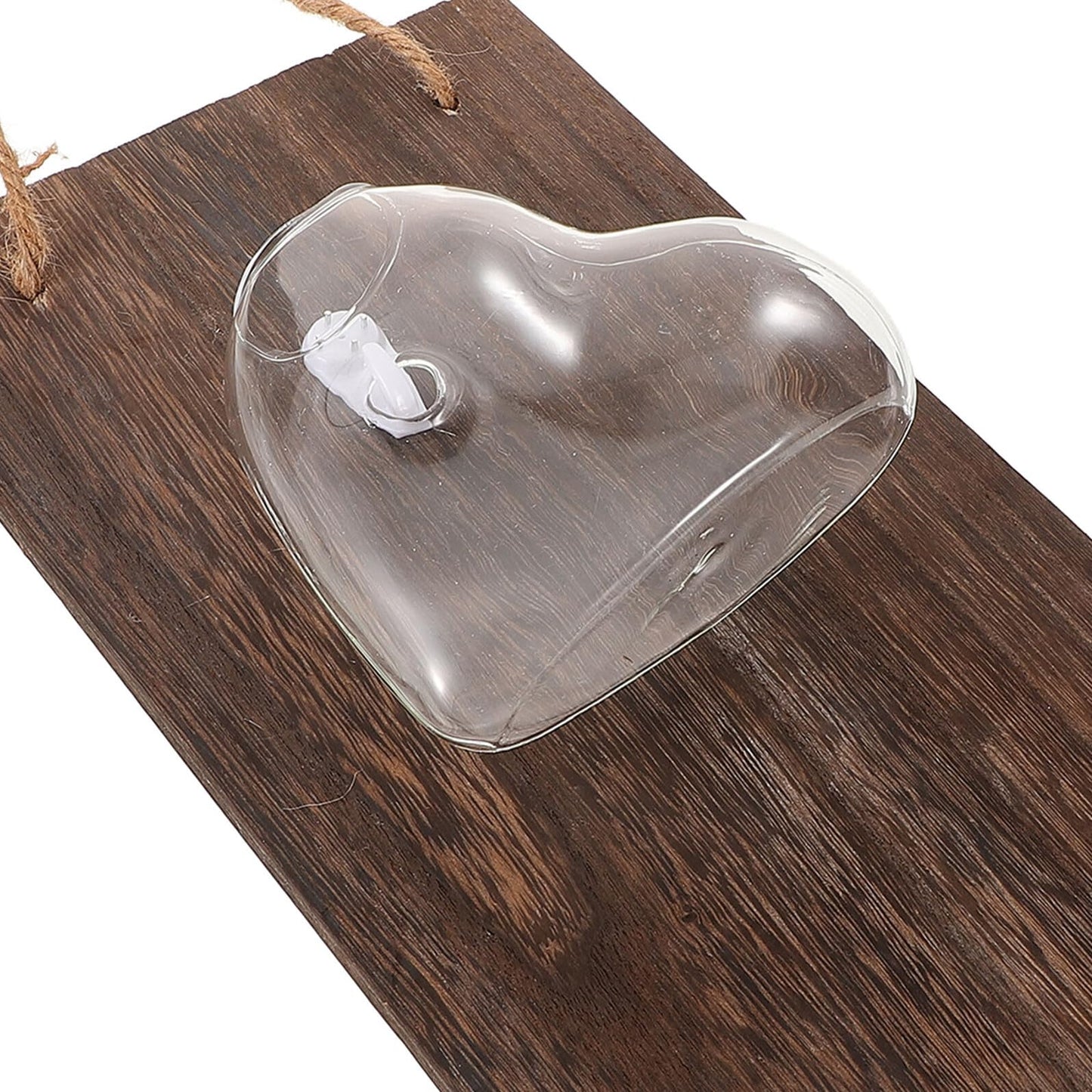 BIUDECO Glass Hydroponic Wall Vase with Wooden Stand, Indoor Plant Terrarium for Propagation and Home Decoration, Air Planter Glass Bud Terrarium for Living Room and Office