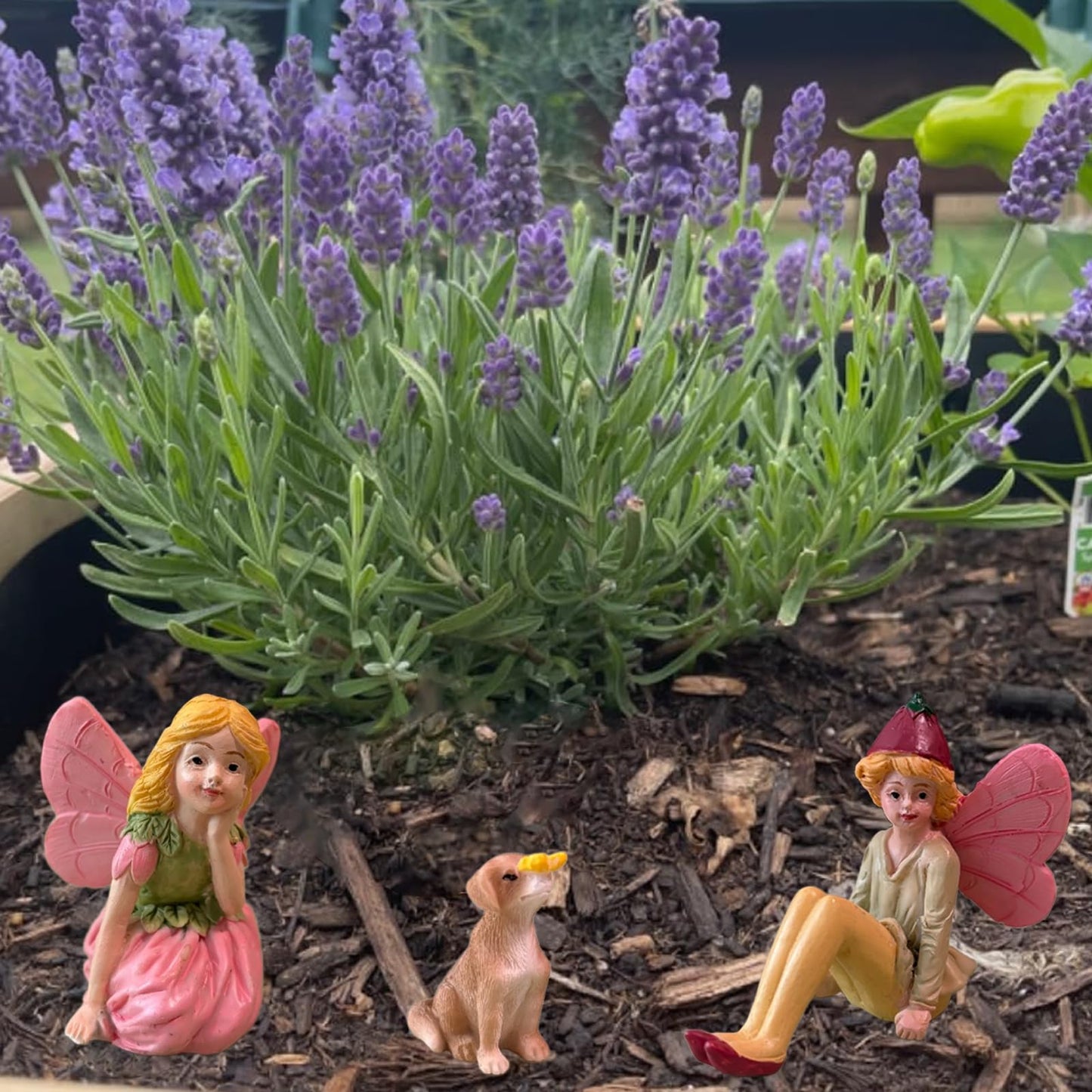 Miniature Fairies for Fairy Garden Fairy Figurines Accessories Outdoor Little Fairies Mini Fairies Set for Kids Garden Miniature Boy Fairies