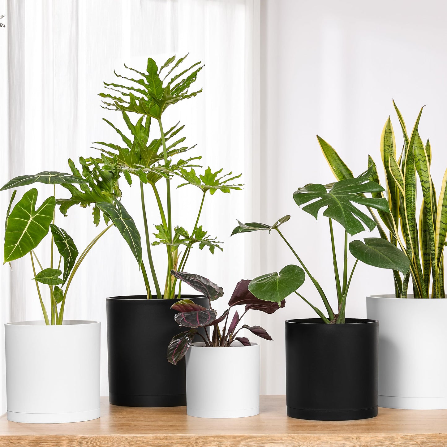 FaithLand 8-Inch Modern Cylinder Planter, Thick-Walled Plastic Plant Pot with Drainage Holes and Detachable Saucer, Matte White, Ideal for Indoor & Outdoor Plants Flowers