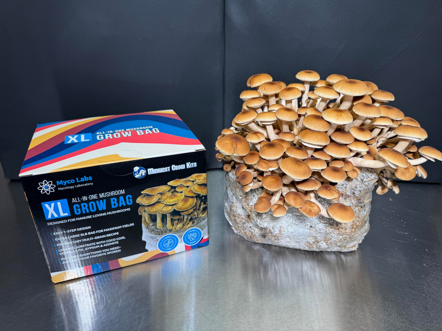 Myco Labs All-in-One Mushroom Grow Bag for Manure Loving Mushrooms + Spore Germination Jar! (6LB)