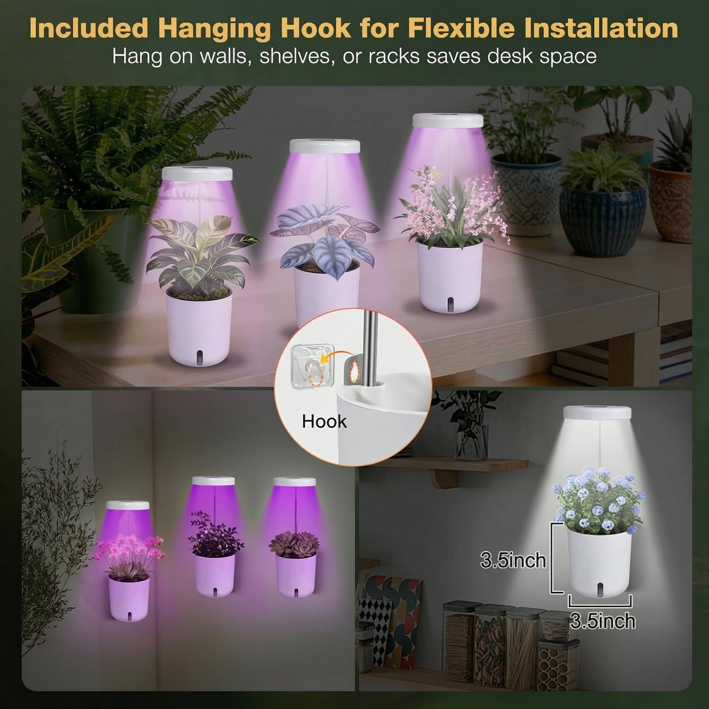 Raygrov Self-Watering Planter with Grow Light — Indoor Herb Garden Kit, Smart Plant Pot for Microgreens, Cat Grass, Catnip & Houseplants, 2-in-1 Wall + Desktop, USB 5W Full Spectrum LED