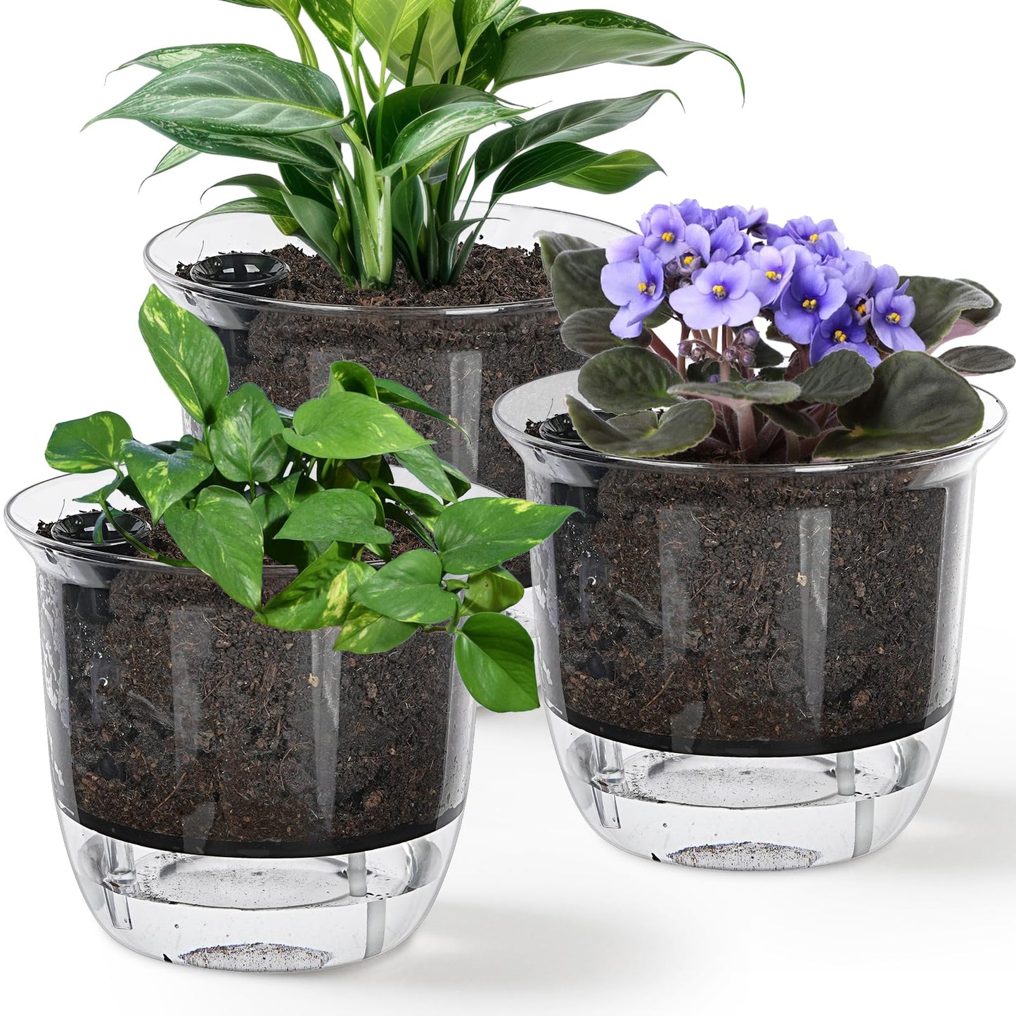 IWNTWY Plant Pots 6 inch Set of 3, Self Watering Pots for Indoor Outdoor Plants Flowers, Self Watering Planters with Reservoir, Drainage Hole and Absorbent Cotton Rope (3 Large)