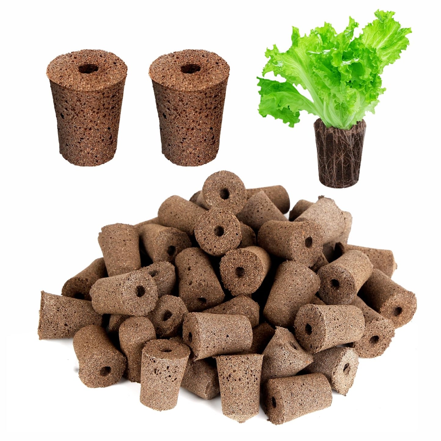 70 Pack Grow Sponges, Starter Plug for Seeds or Cuttings, General Hydroponics Rapid Rooter Plugs for Seedling Herbs Lettuce Vegetable Flower, Great for Soil or Hydroponics Growing System (Cylinder)