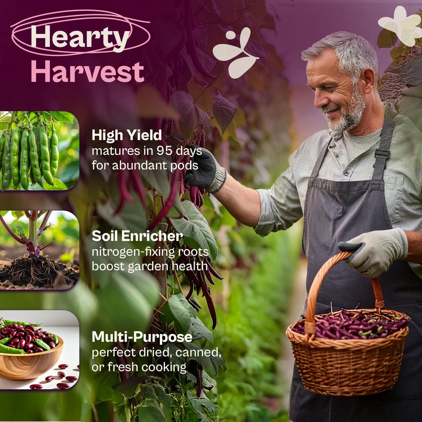 SVI 50 Dark Red Kidney Beans Seeds (Phaseolus vulgaris L.) – Rajma, Surkh Lobia, Heat-Tolerant, Protein-Rich – Heirloom Vegetable Seeds for Outdoor Garden & Raised Beds