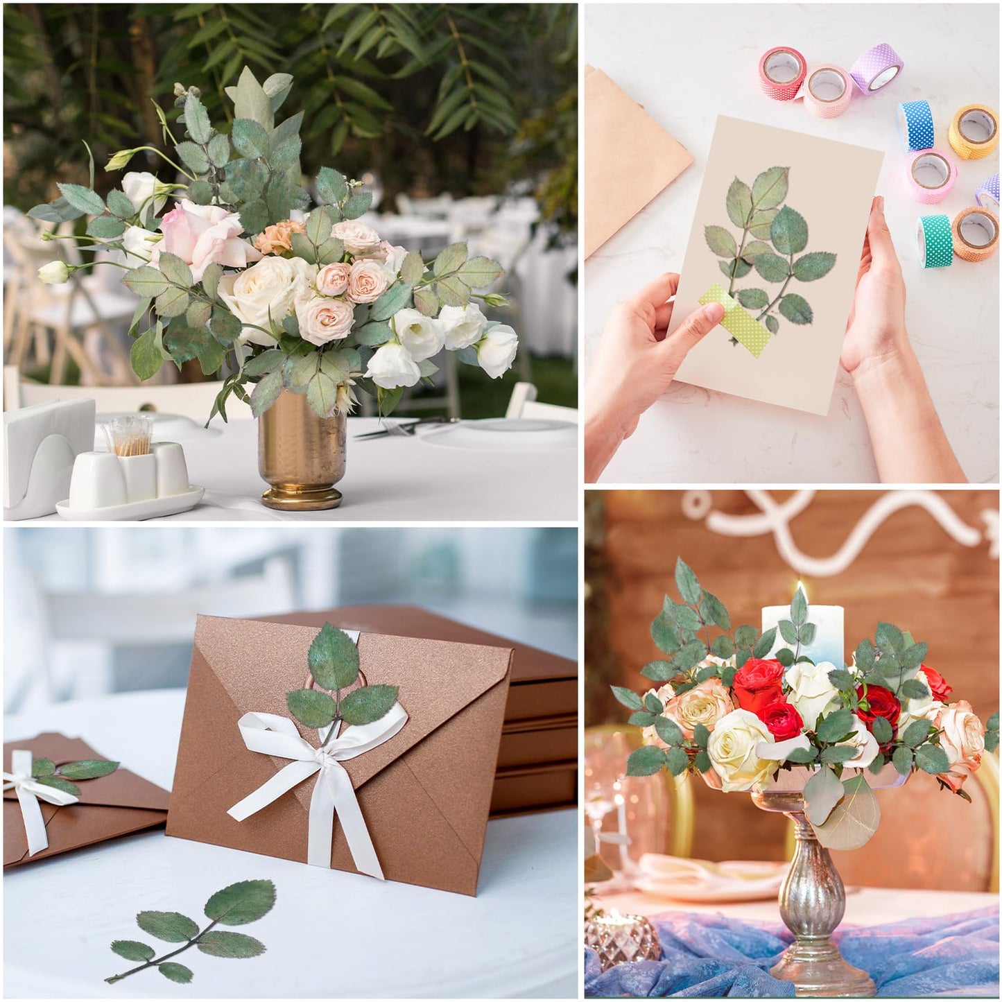 Fabbay 200 Pcs Real Dried Pressed Green Leaves Natural Rose Flower Dried Leaves Plant Greenery for Resin Art Arrangements Home Wedding Bouquets DIY Crafts Decors Card Scrapbooking