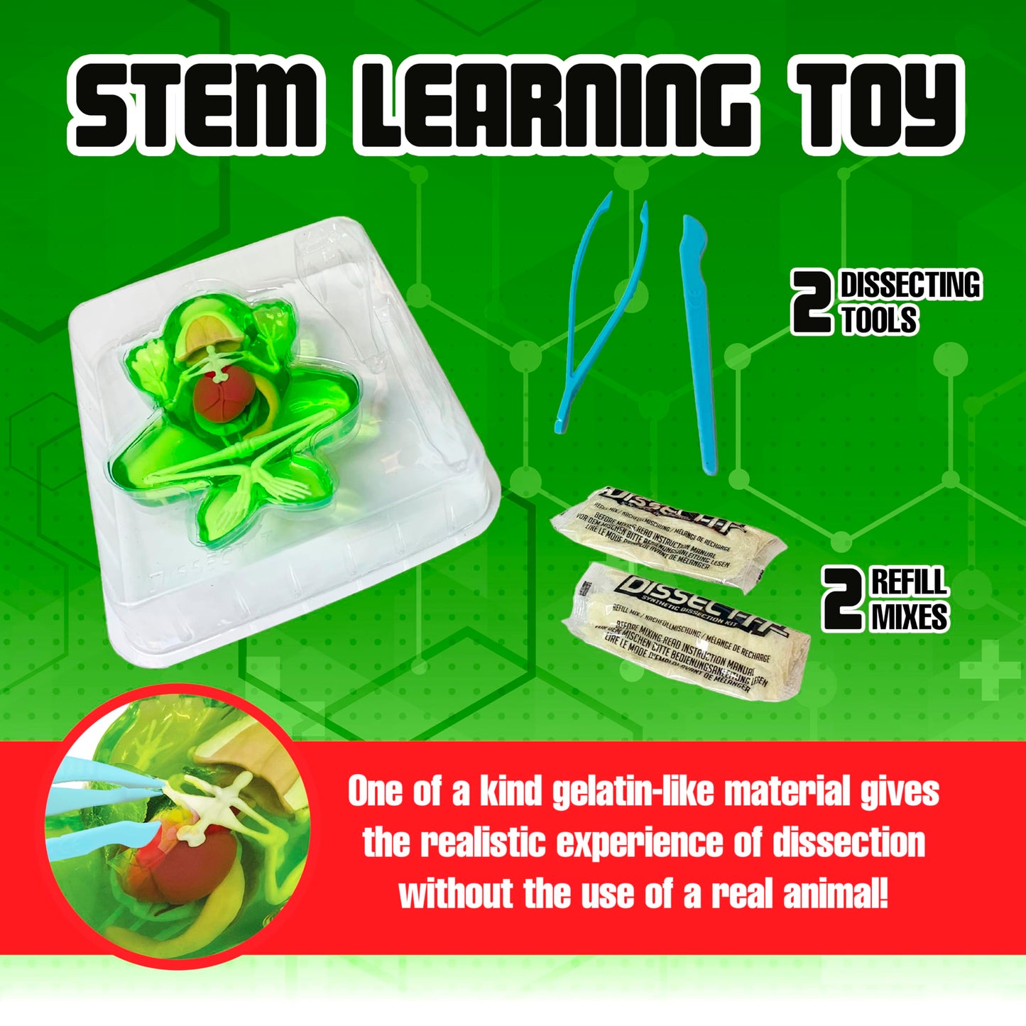 Top Secret Toys Dissect It Kit for Kids, Synthetic Dissection Kids Science Kit to Learn Animal Anatomy, Biology, STEM Frog Toys, Ages 6 and Above