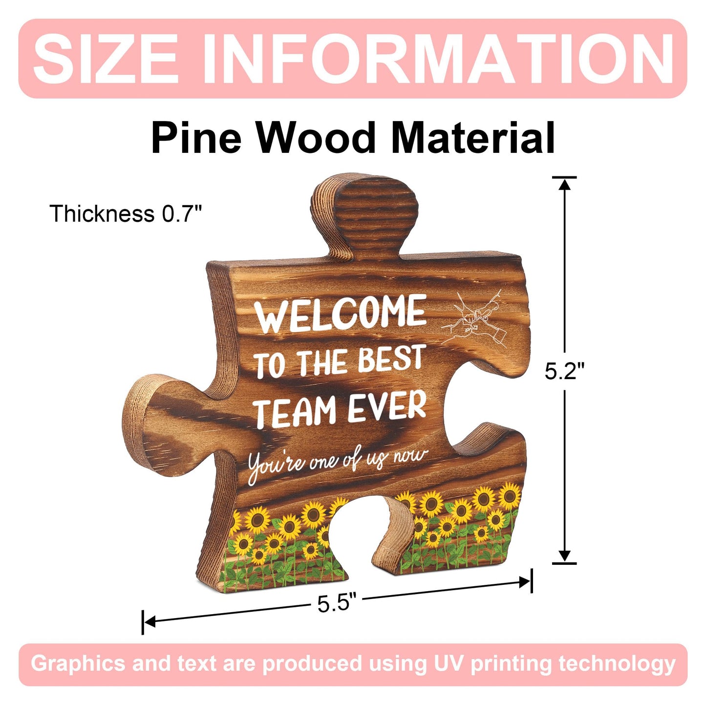 Welcome to the Team Puzzle Desk Sign for New Coworker Employee, Office Decor Gift for Women Men, Onboarding Thank You Present for Team Member, Work Anniversary, Promotion, Birthday - FSE357