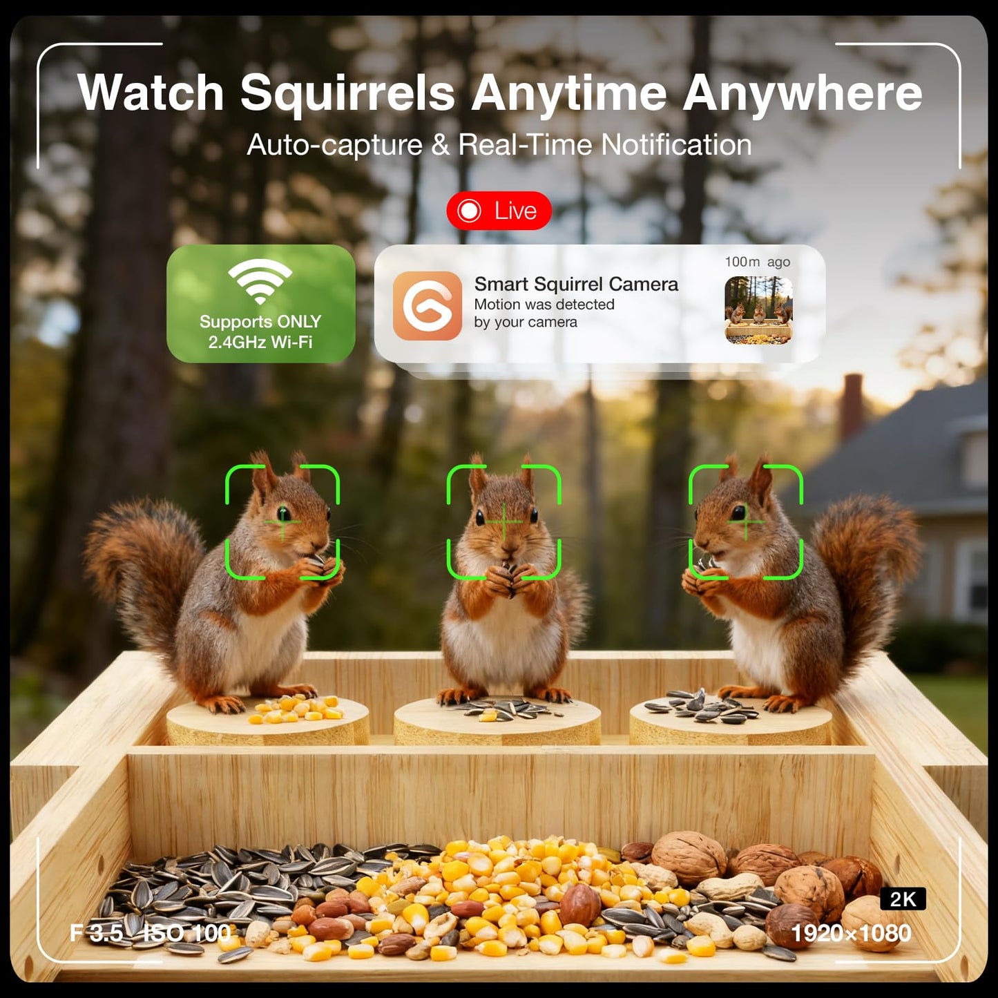 Wooden Squirrel Feeder with Camera, Smart Squirrel Feeder Solar-Powered, Squirrel Houses for Outside, 2K HD+ Video, Cloud Storage, Large Capacity, Ideal for Squirrel Lovers