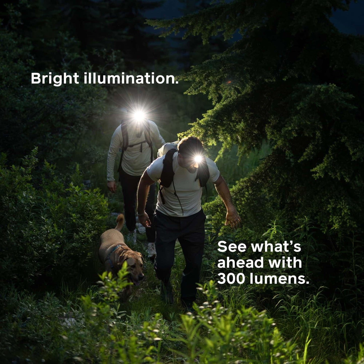 BioLite Range 300 Waterproof, Fast-Charging Rechargeable Headlamp, Slate Blue, 300 Lumens, USB-C Charging, 75m Beam, 100 Hour runtime