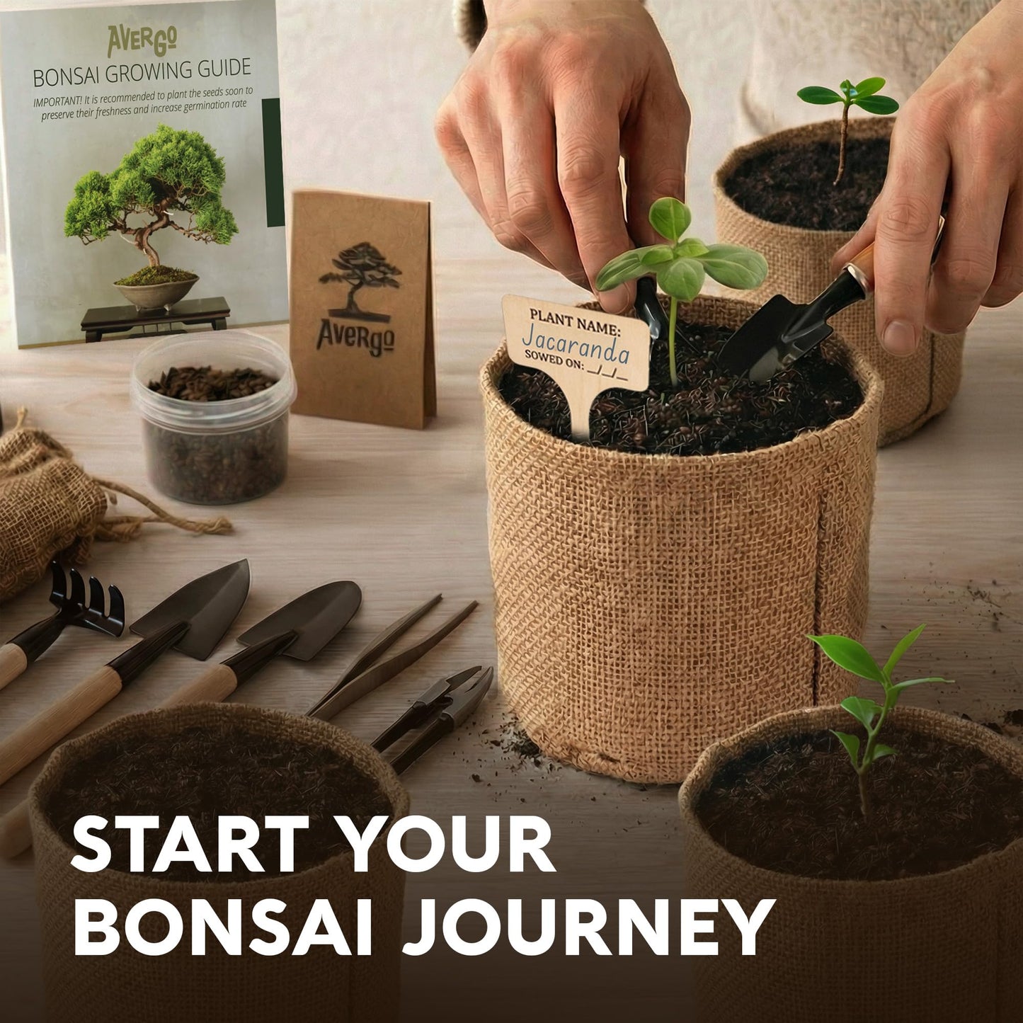 AVERGO Bonsai Tree Kit Classic - 5X Unique Japanese Bonzai Trees | Complete Indoor Bonsai Starter Kits for Growing Trees – DIY Gardening Gifts for Mother's Day, Women & Men
