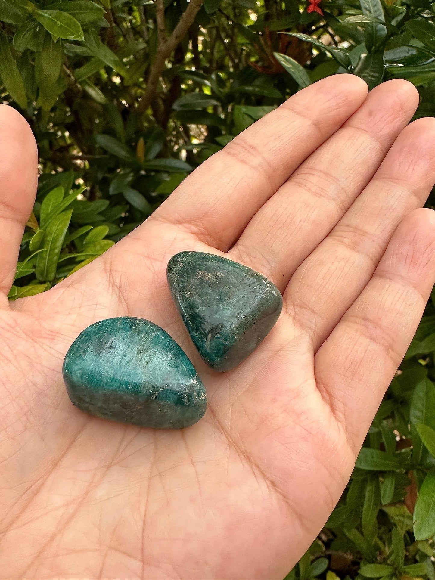 GAF TREASURES 5 Pcs Apatite Tumbled Stones, Polished Apatite Gemstone, Apatite Healing Crystals (Apatite)
