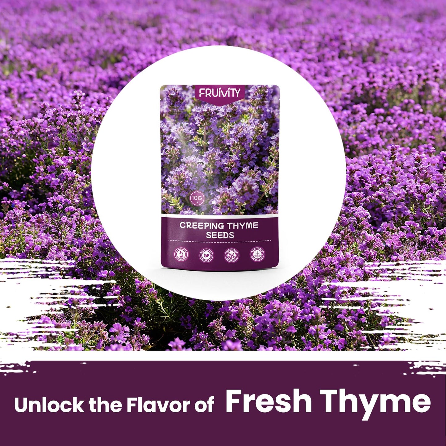 Fruivity 20000+pcs Creeping Thyme Seeds for Planting, Perennial Ground Cover Plants Flowers Seeds Fragrant Herb Seeds for Lawns & Paths Garden