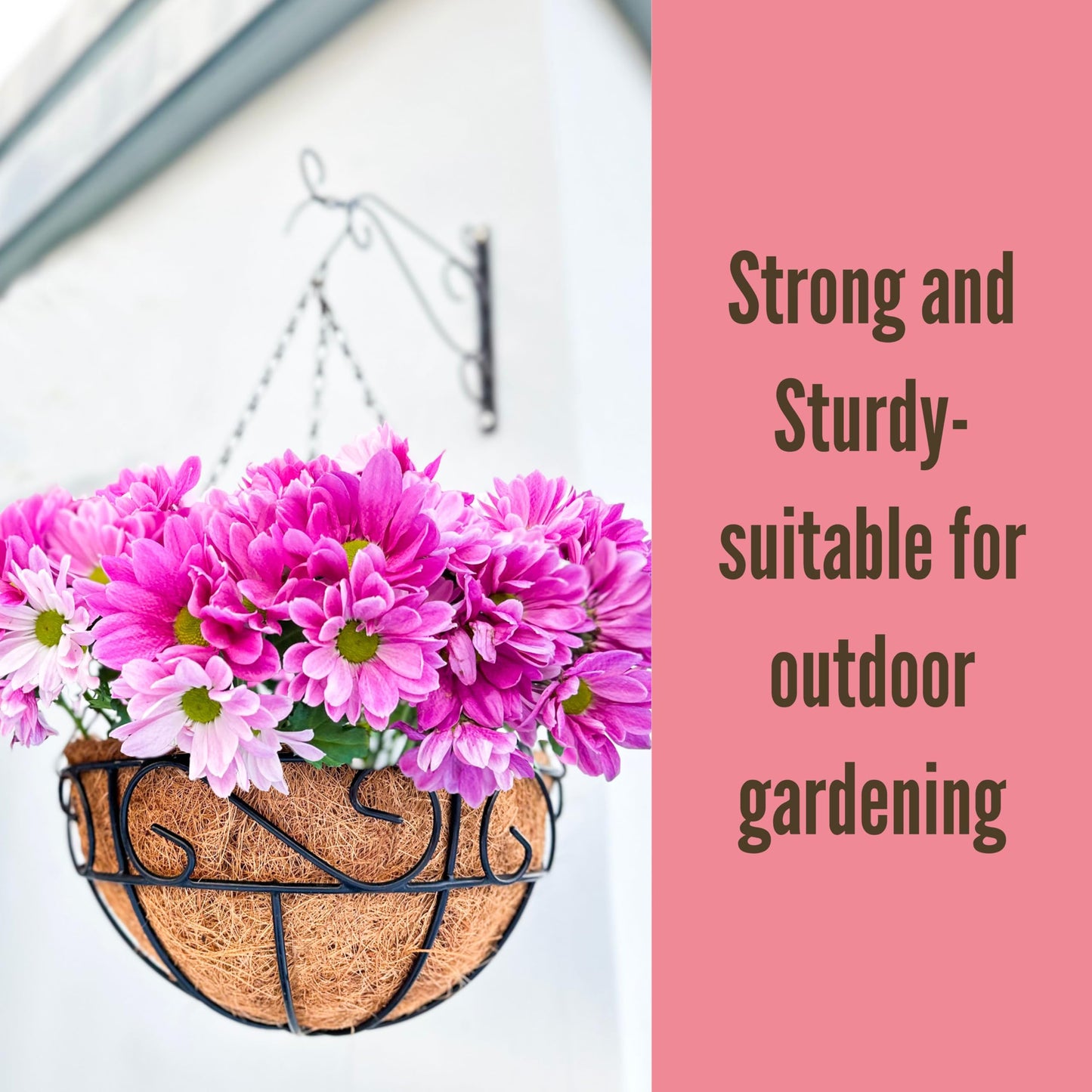 LaLaGreen Hanging Planter for Outdoor Plants (10 Inch, 2 Pack) Hanging Baskets with Coco Liner, Black Metal Wire Flower Basket Pots with Hook Hanger Balcony Porch Farmhouse Country Style Garden Decor