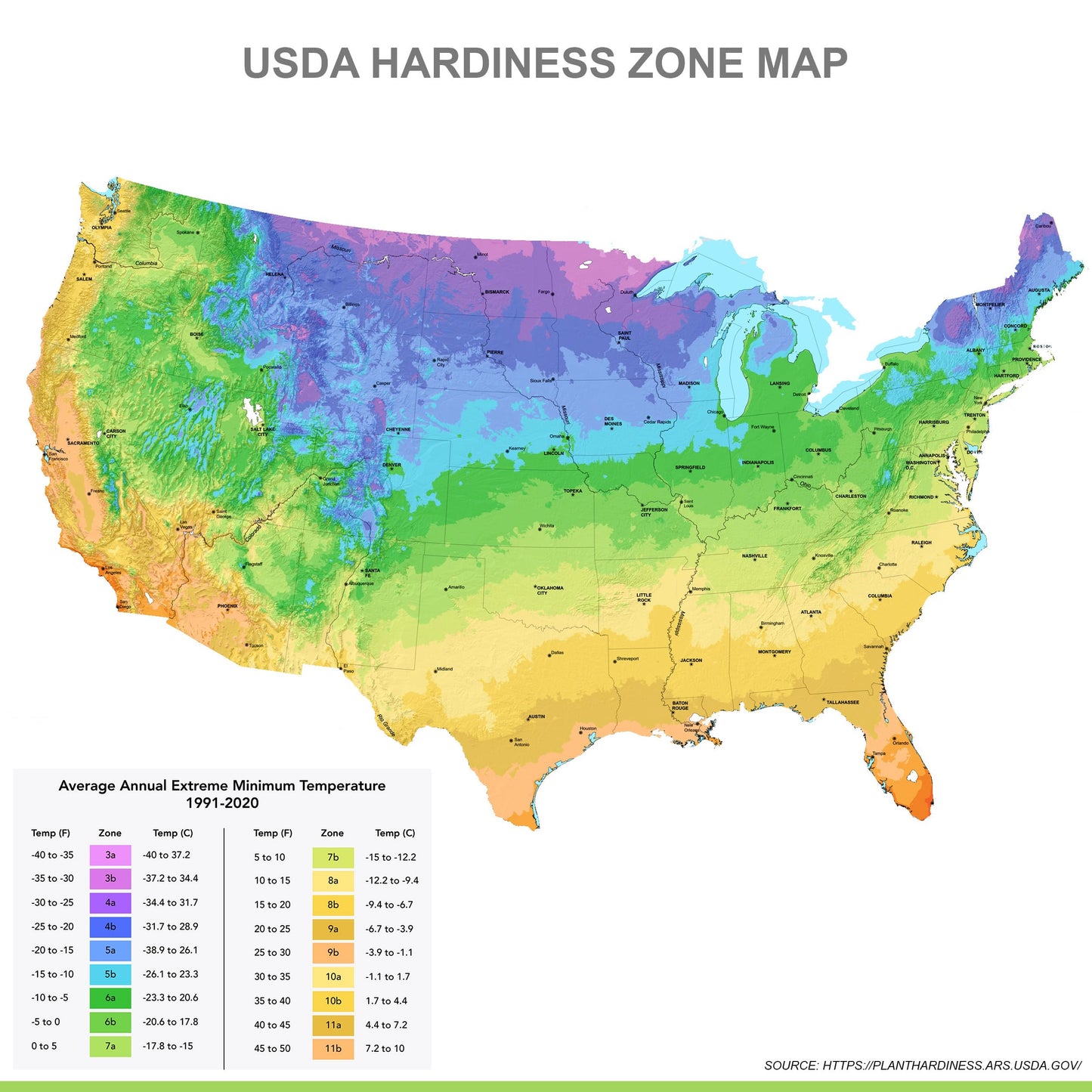 Garden State Bulb Purple Flora Gladiolus Flower Bulbs, 12/14cm, Spring Planting (Bag of 60)
