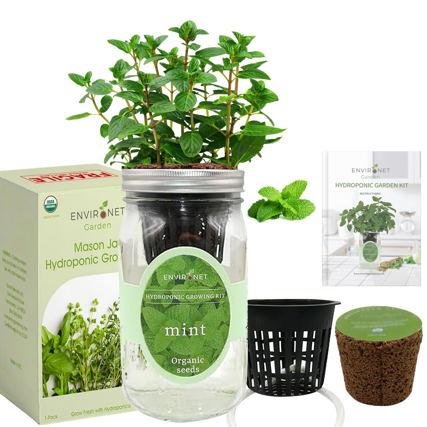Hydroponic Herb Growing Kit, Self-Watering Mason Jar Herb Garden Starter Kit Indoor, Window Herbs Garden, Grow Your Own Herbs from Organic Seeds (Mint)