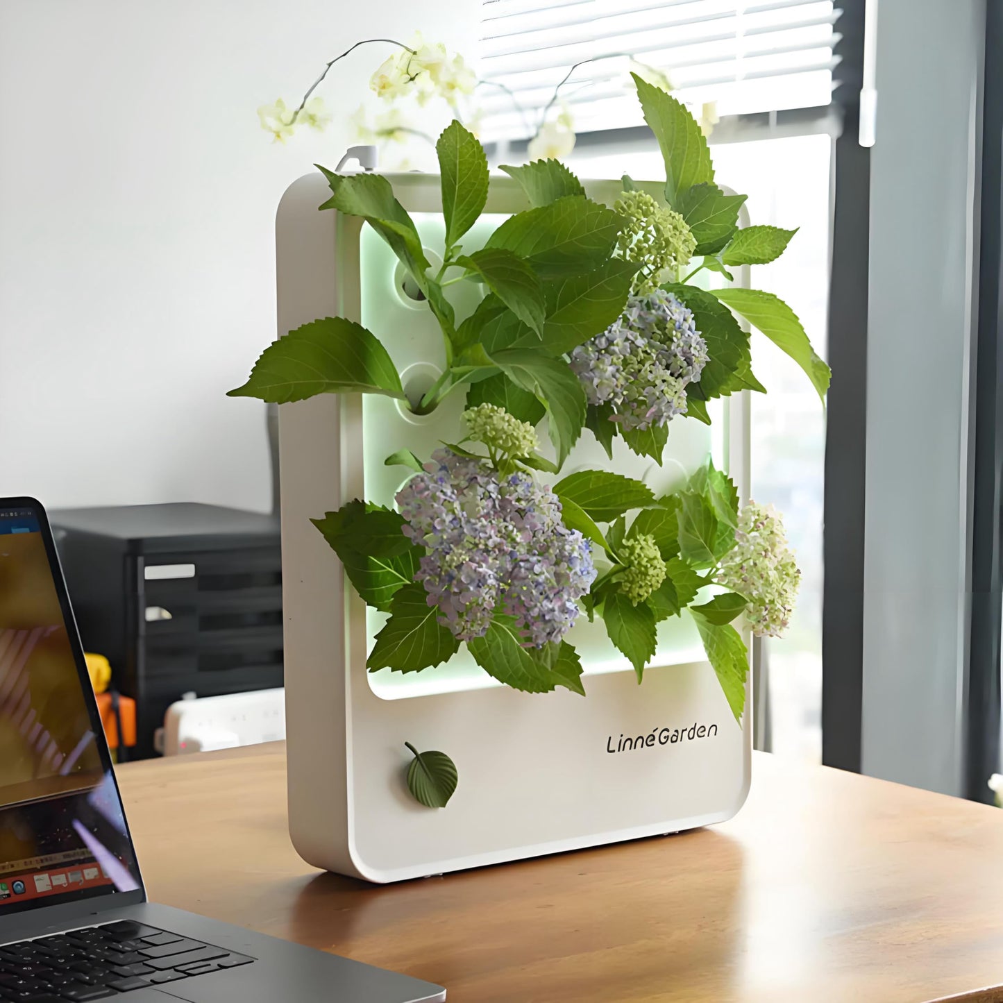 Indoor Hydroponic Growing System, Desktop Herb & Vegetable Grow Light with LED Grow Lamp - Hydroponic Cultivation Harvest Lettuce (White)