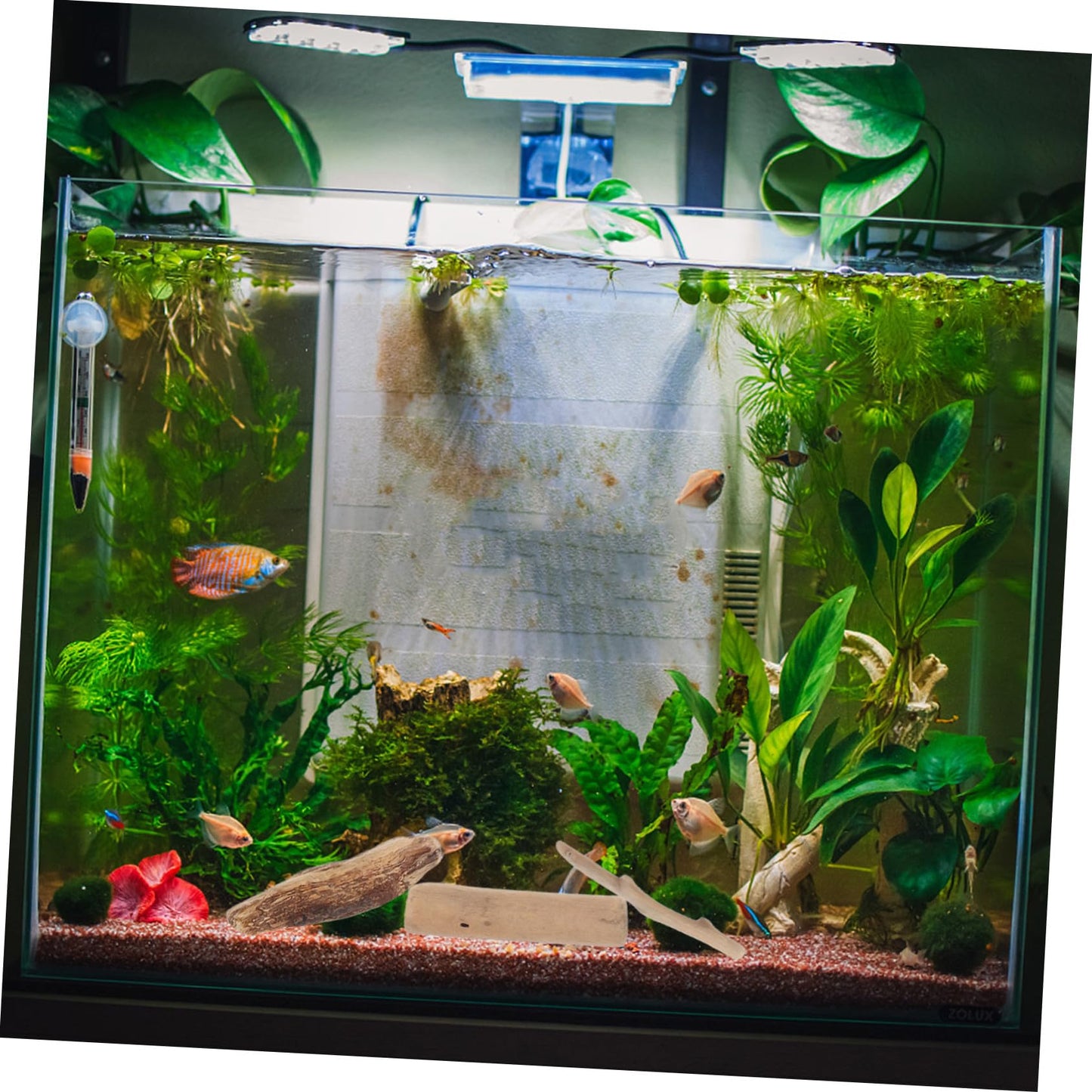 SHINEOFI Natural Driftwood Blocks for Aquarium Driftwood Decor and DIY Crafts Polished Small Wood Pieces for Fish Tank Decoration 20 Pieces 3.93X1.18X0.59 Inch