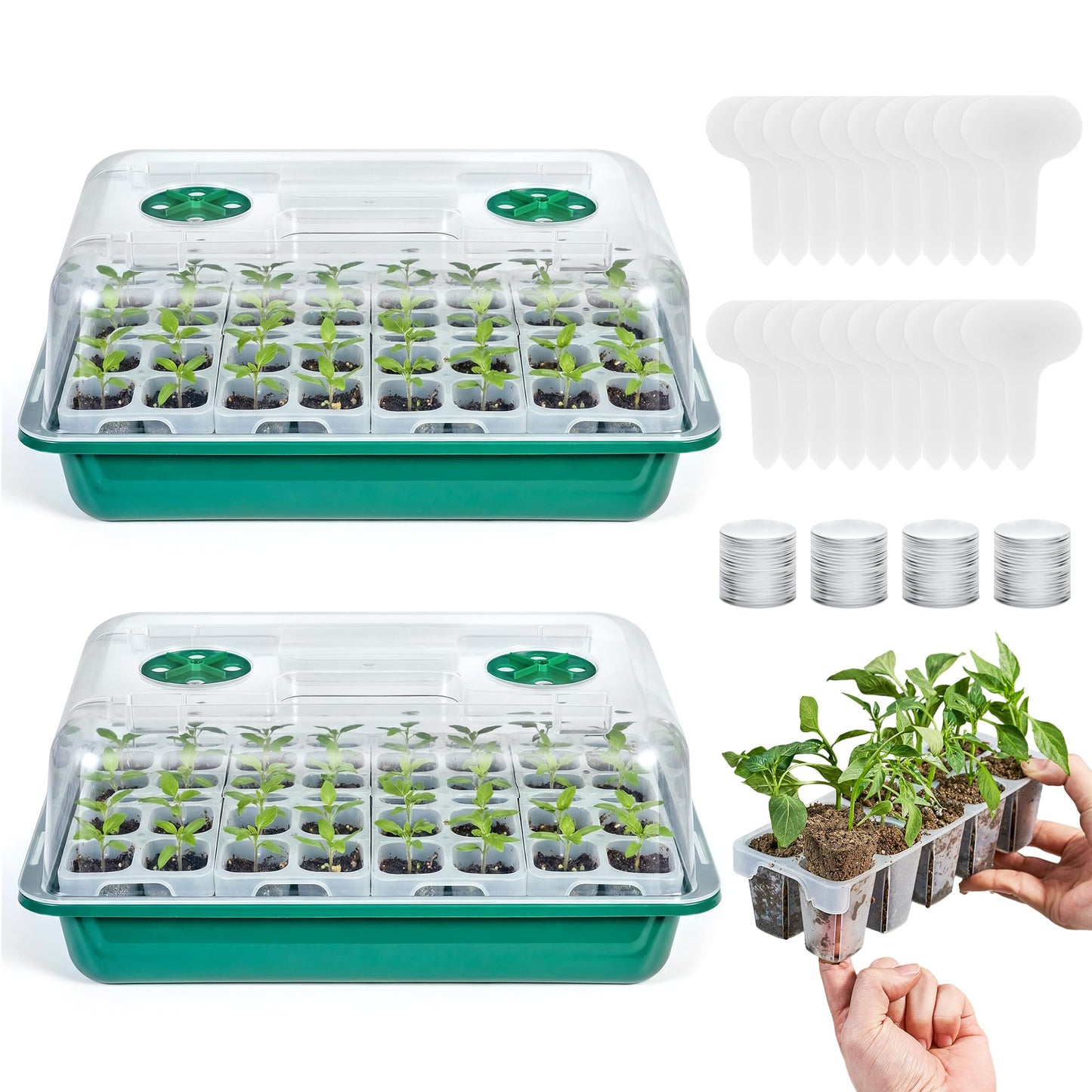 HIRALIY 80 Cell Seed Starter Tray Kits, Reusable Plant Germination Trays, Easy Transplanting, with Humidity Domes and Bases, for Starting Vegetable, Flower & Herb Seeds, Indoor Gardening, Greenhouse