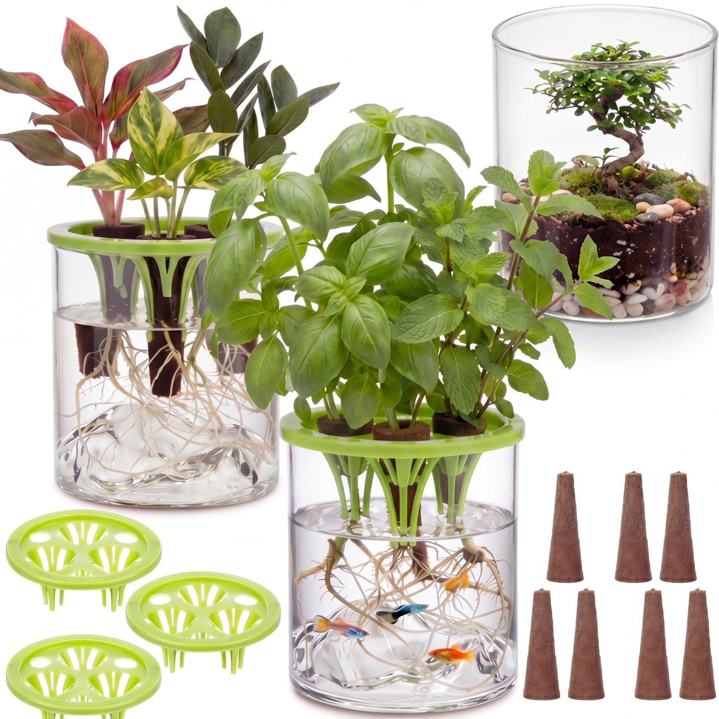 Ferrochef 3 Sets Hydroponic Planter Pot Kit Plant Propagation Station Vase Terrarium Glass Planter Indoor Self Watering Planters Herb Garden Kit for Seed Starting Root Monitoring Garden