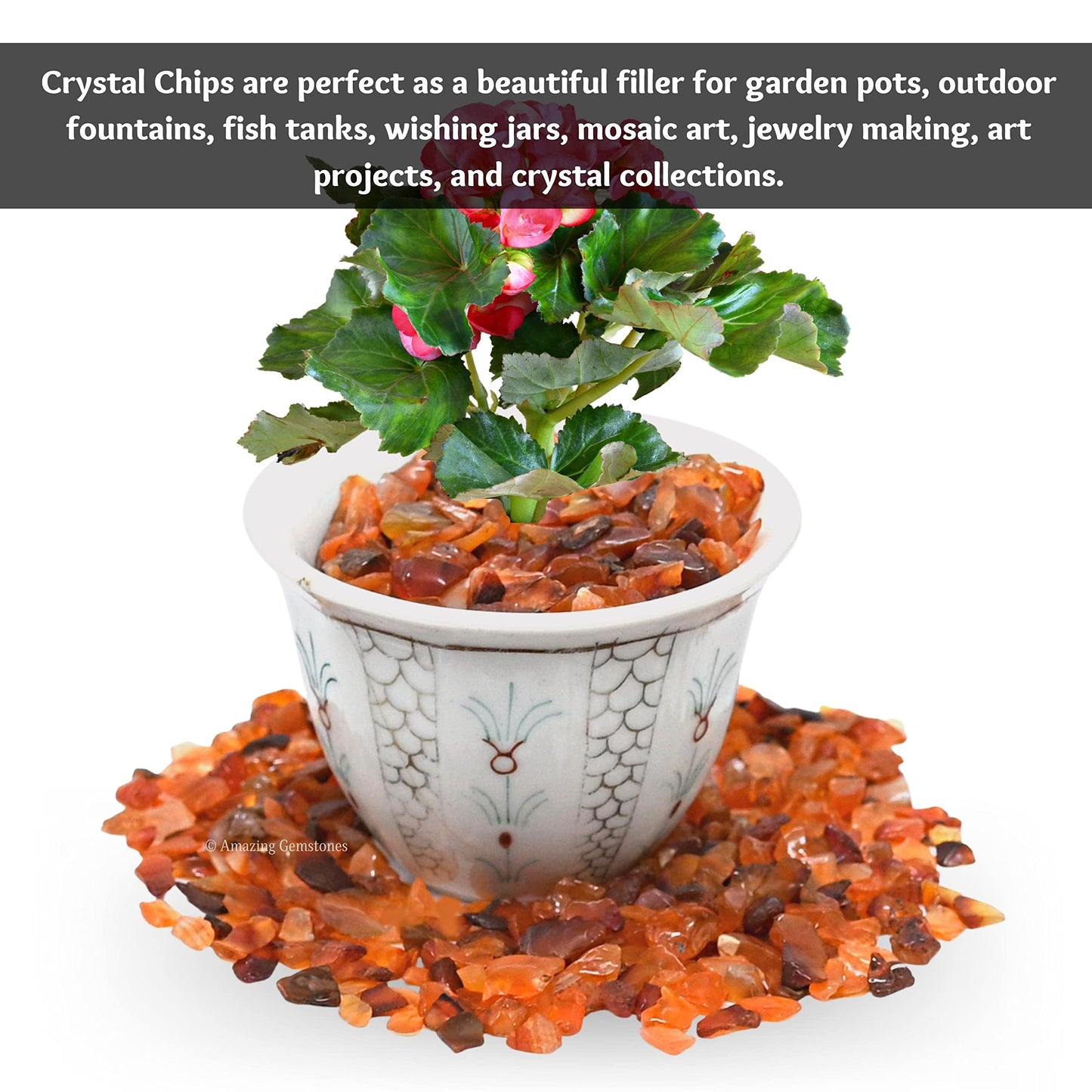 Amazing Gemstone Carnelian Crystal Chips Aquarium Gravel Rocks - Carnelian Chips Bulk Fish Tank Gravel, Small Tumbled Stones and Tiny Crystals for Decoration (Natural AAA Grade Gemstones)
