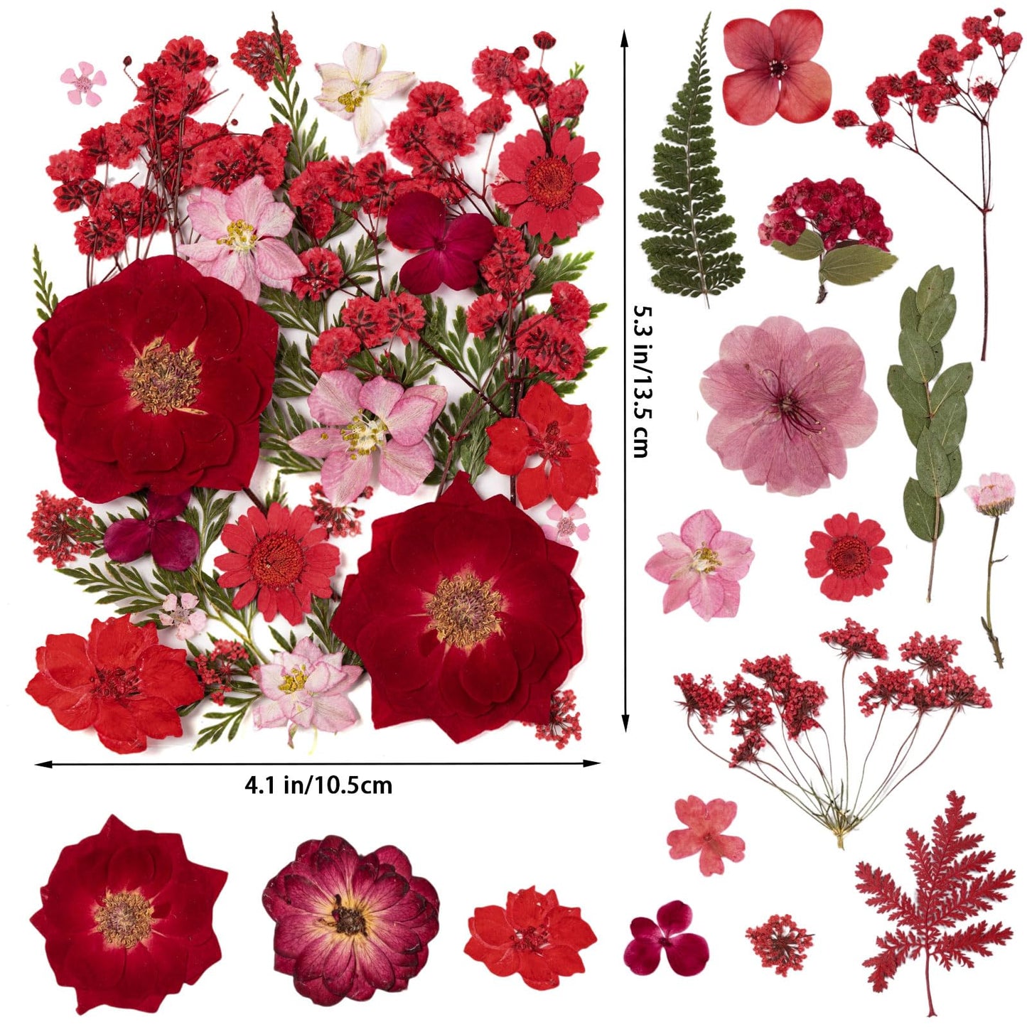 101 PCS Red Dried Pressed Flowers for Christmas Crafts Resin, Red Real Nature Flowers Bulk for DIY Holiday Cake Card Scrapbook Supplies, Large Dried Flowers for Soap Candle Making