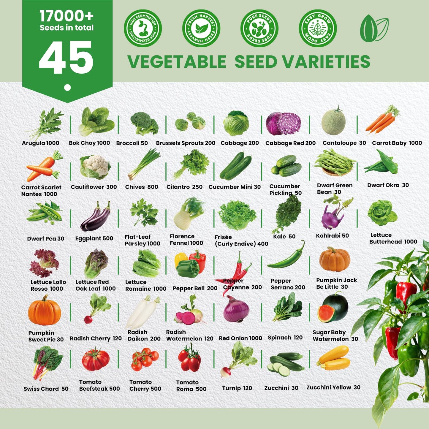 Fruivity 45 Vegetable Seeds Variety Pack - 17,000+ Garden Seeds for Planting Indoor & Outdoor - Seed Vault Kit with Tomato, Cabbage, Spinach - for Hydroponic, Women, Friend Gift