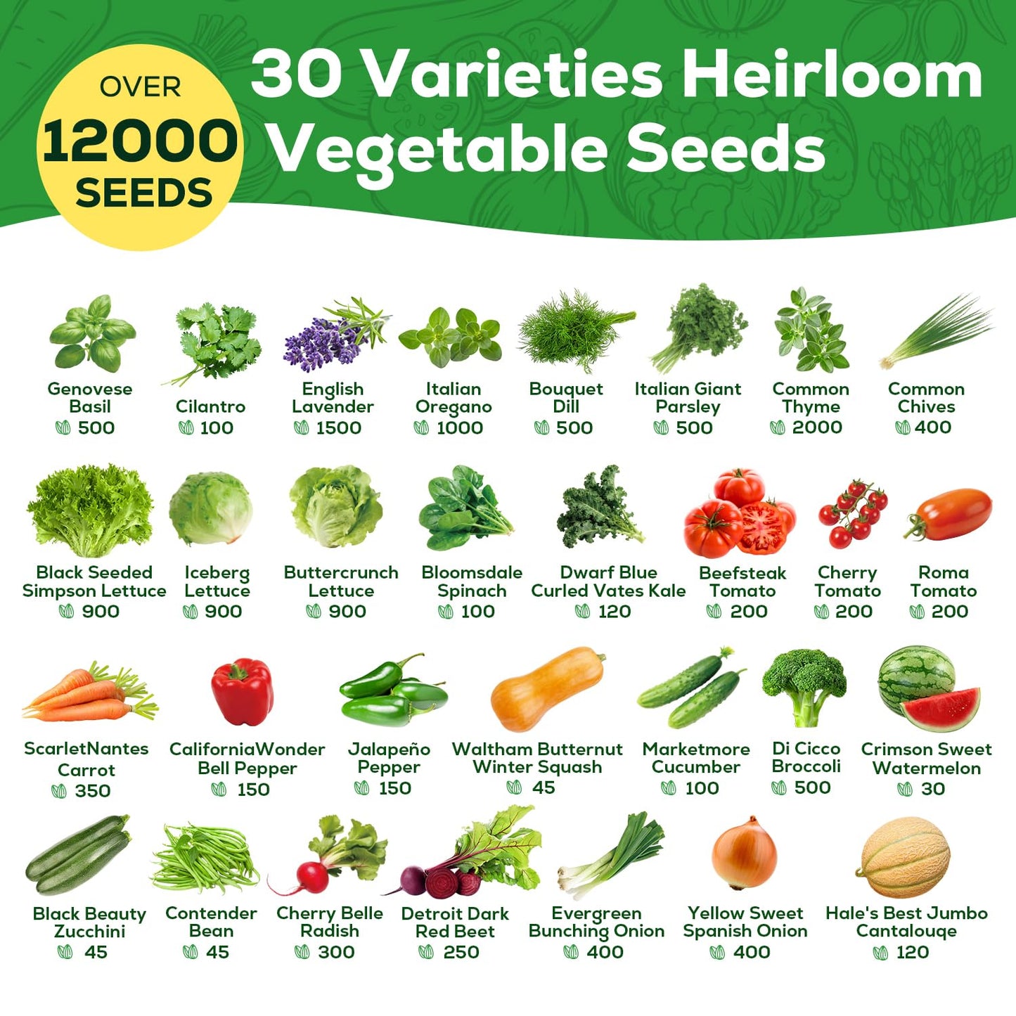 PLANTMEW 30 Heirloom Vegetable Seeds for Planting, 12,000+ Garden Seeds - Vegetable, Herb, Fruit Seeds - Survival Seed Vault with Tomato, Basil, Lettuce, Bean, Pepper, Squash and More