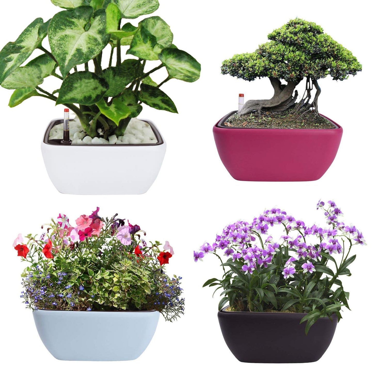Vencer 10.8 Inch Plastic Square Self Watering Planter,Water Indicator,Modern Decorative Planter Pot for All House Plants Flowers,Herbs,Vegetables,Tropical,Coffee,VF-049C