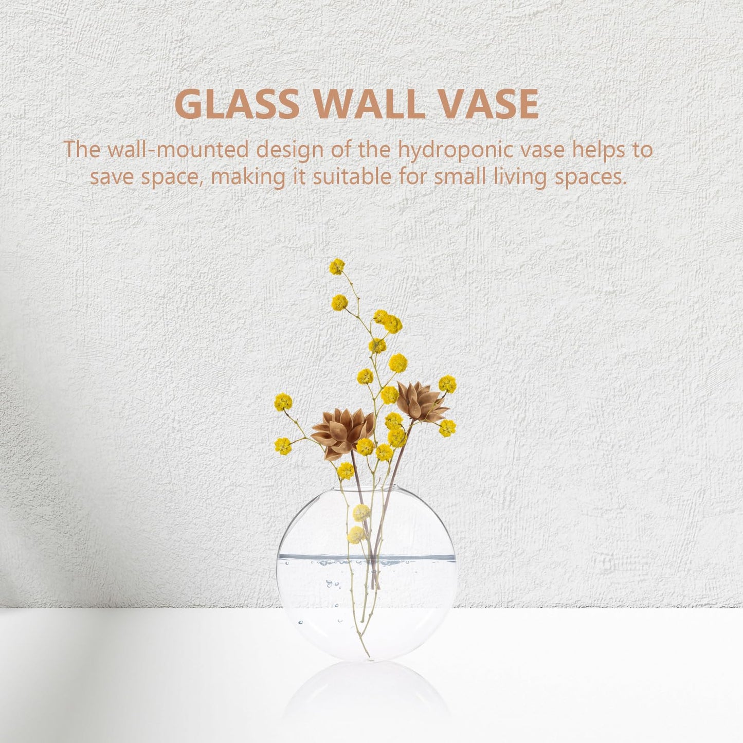 Toyvian Wall Mounted Glass Plant Pot and Hanging Glass Terrarium, Hydroponic Flower Vase for Indoor Plants, Balcony Decor, 2pcs Set