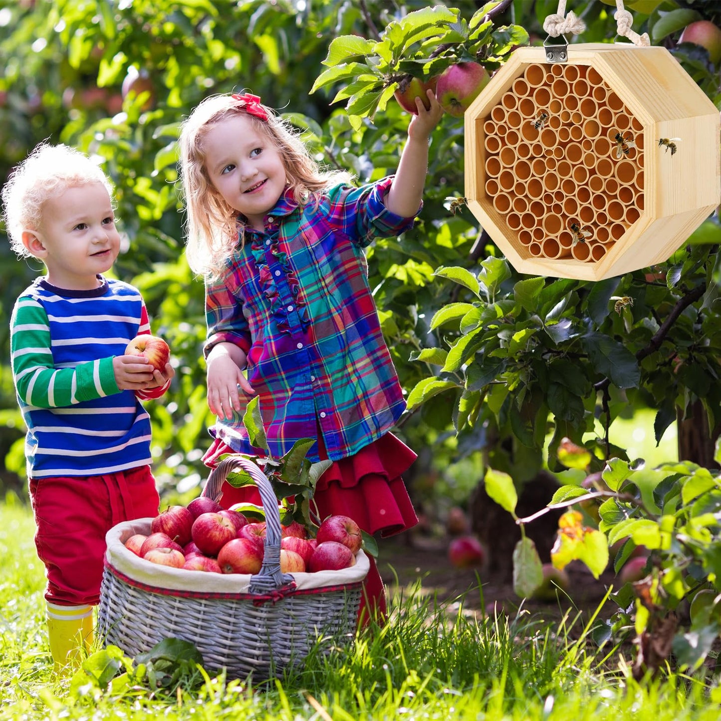Mason Bee House - Handcrafted Natural Wooden Bee Hotel with Waterproof Wax Coating - Attracts Peaceful Pollinators, Enhances Garden Productivity