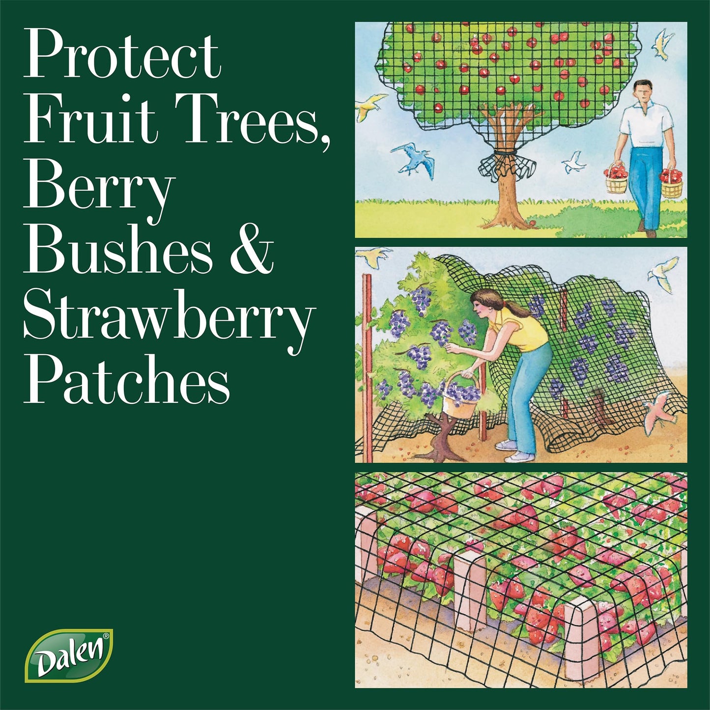 Dalen Bird-X Protective Mesh Netting for Fruit Trees, Berries, Vegetables - 14 ft x 45 ft, Black Garden Netting, 5/8-inch Mesh - Helps Deter Birds & Garden Pests, Made of Weather-Resistant Plastic