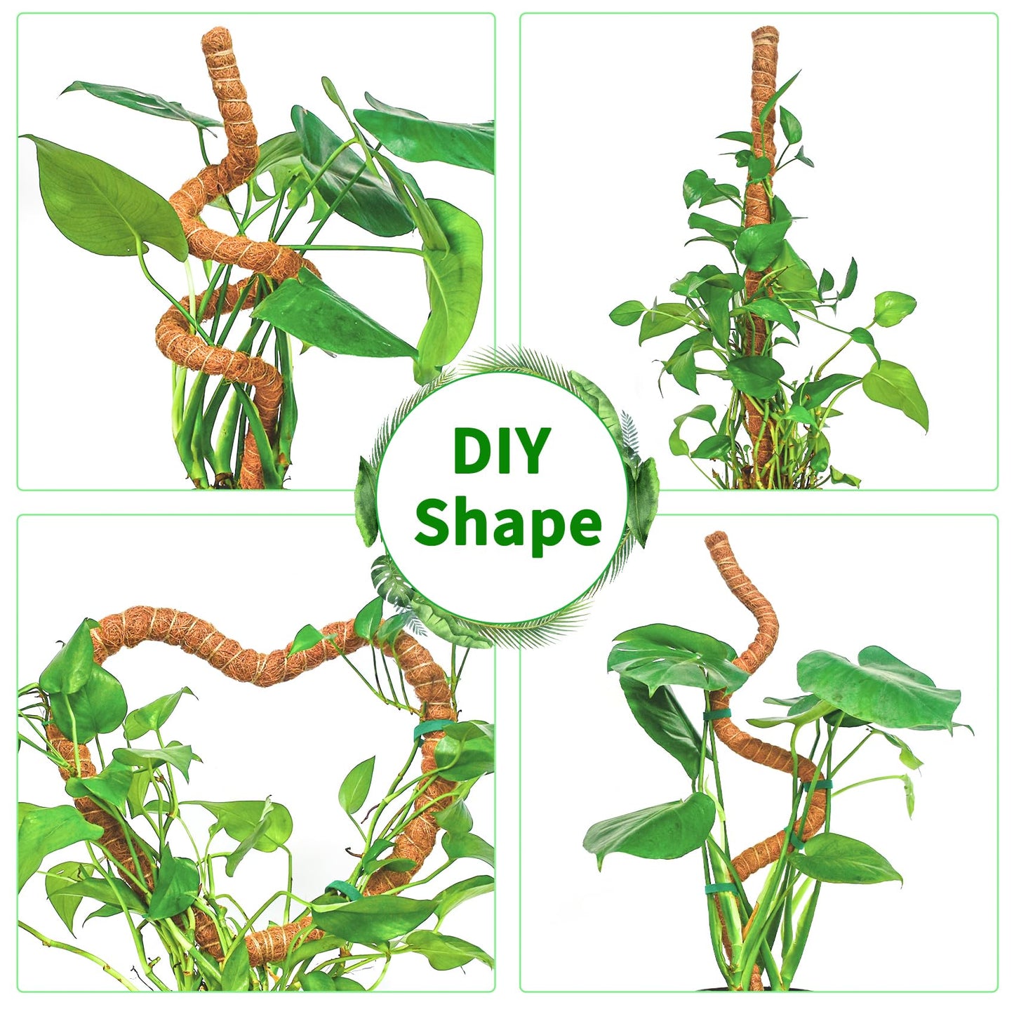Dimpoo 2 Pack 60 Inch Moss Pole Monstera Plant Support, Coir Moss Poles for Climbing Indoor Plants, Bendable Plant Stake Trellis for Potted Plant, Pothos, Philodendron