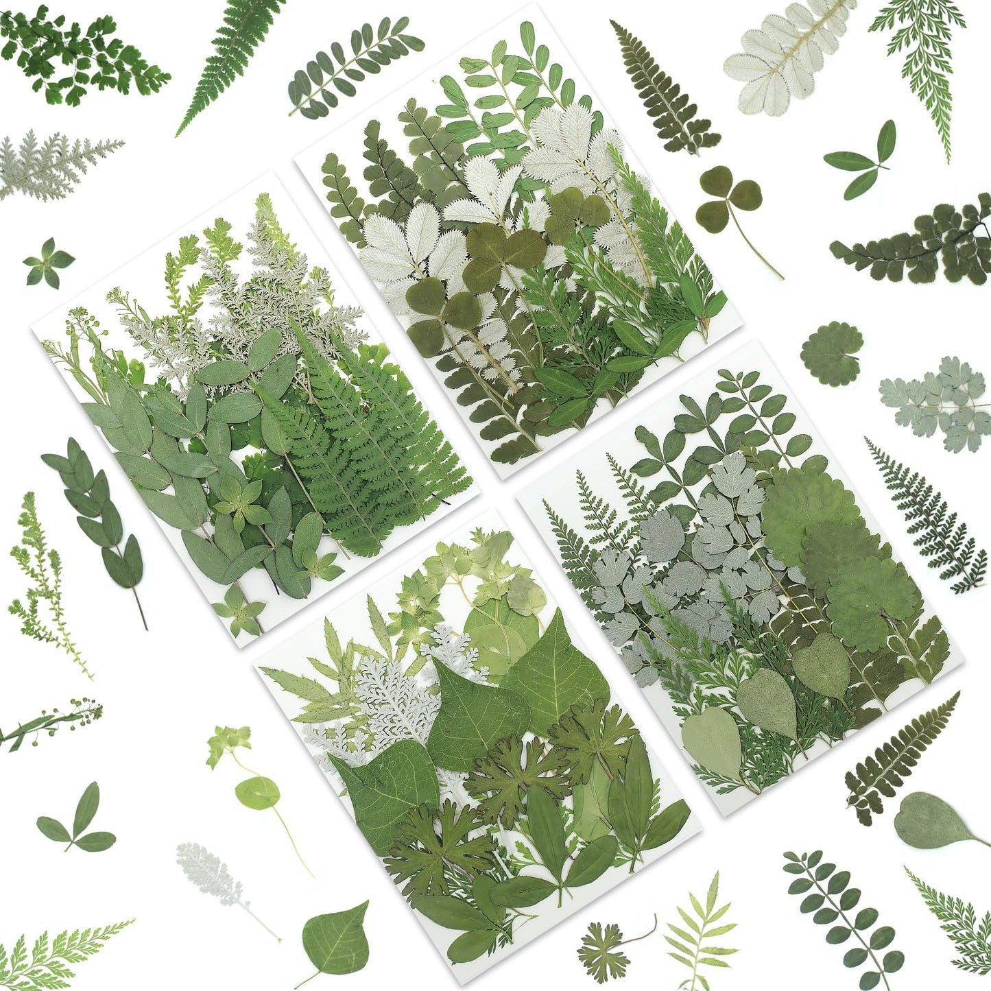 LUXEEASE 84P Dried Pressed Flowers and Leaves Kit - Natural Earthy Green Leaves, Ferns & Eucalyptus for Resin Art, Scrapbooking, Soap Making, Candle Making, DIY Gifts - Tweezers Included