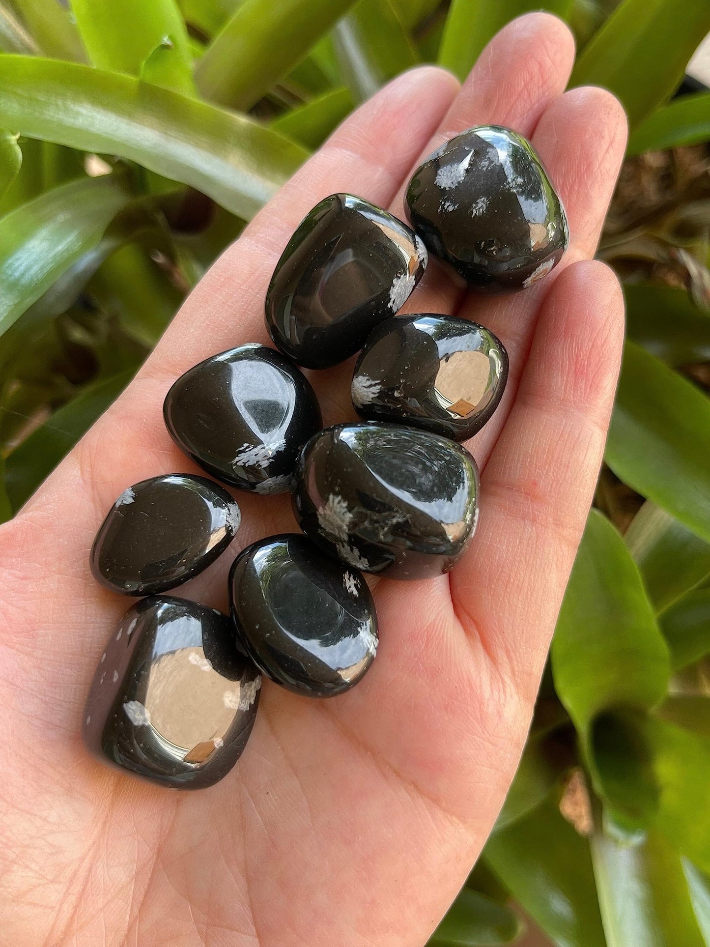 GAF TREASURES 5 Pcs Snowflake Obsidian Tumbled Stones, Polished Natural Snowflake Obsidian Gemstone, Snowflake Obsidian Healing Crystals (Snowflake Obsidian)