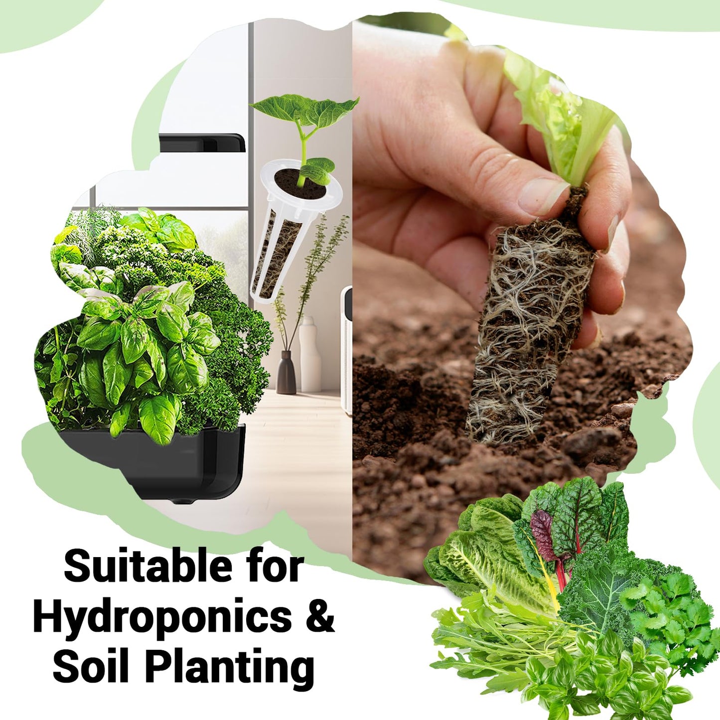 Herb & Salad Greens Seed Pods for All Hydroponics Growing Systems, 8 Pods with 600+ Seeds of Basil, Cilantro, Romaine, Kale, Arugula and Swiss Chard
