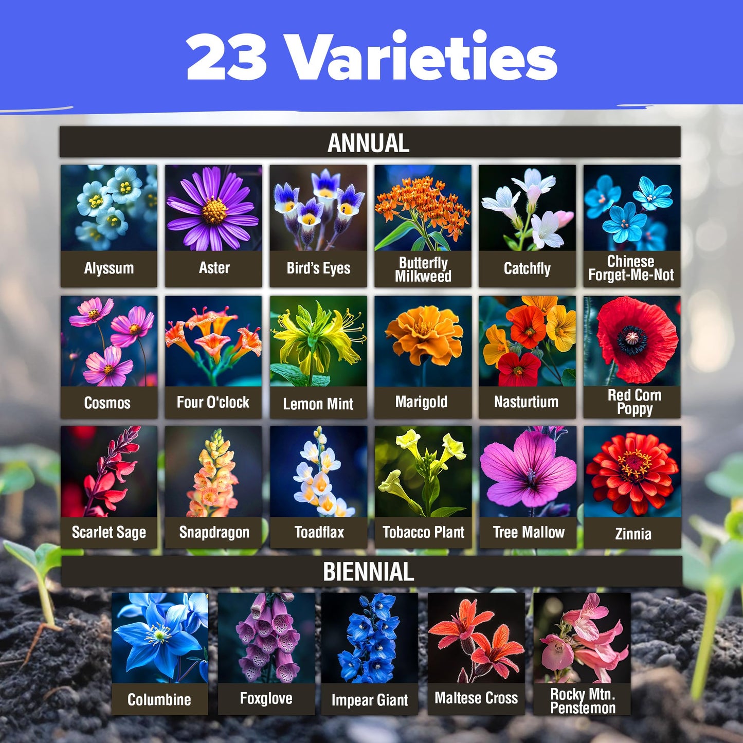 HOME GROWN Premium Wildflower Seeds Bulk - 134,000+ Non-GMO USA Native Seeds for Planting Outdoors - 23 Varieties Wild Flower Mix for Butterfly Garden, Perennial & Annual Flowers (3oz)