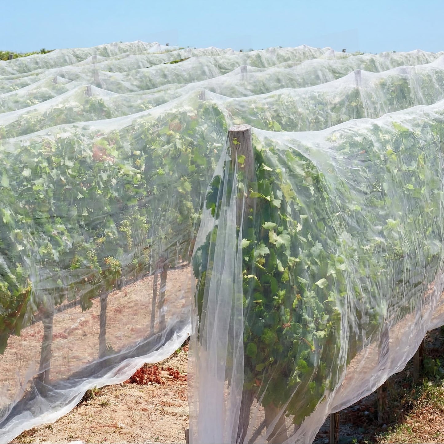 Yoojahow Garden Insect Netting for Raised Beds Extra Large Fruits Tree Netting Pest Barrier White Ultra Fine Mesh Row Bed Covers Net for Vegetable Fruit Protection from Insect Bird Animals(15X 33 ft)