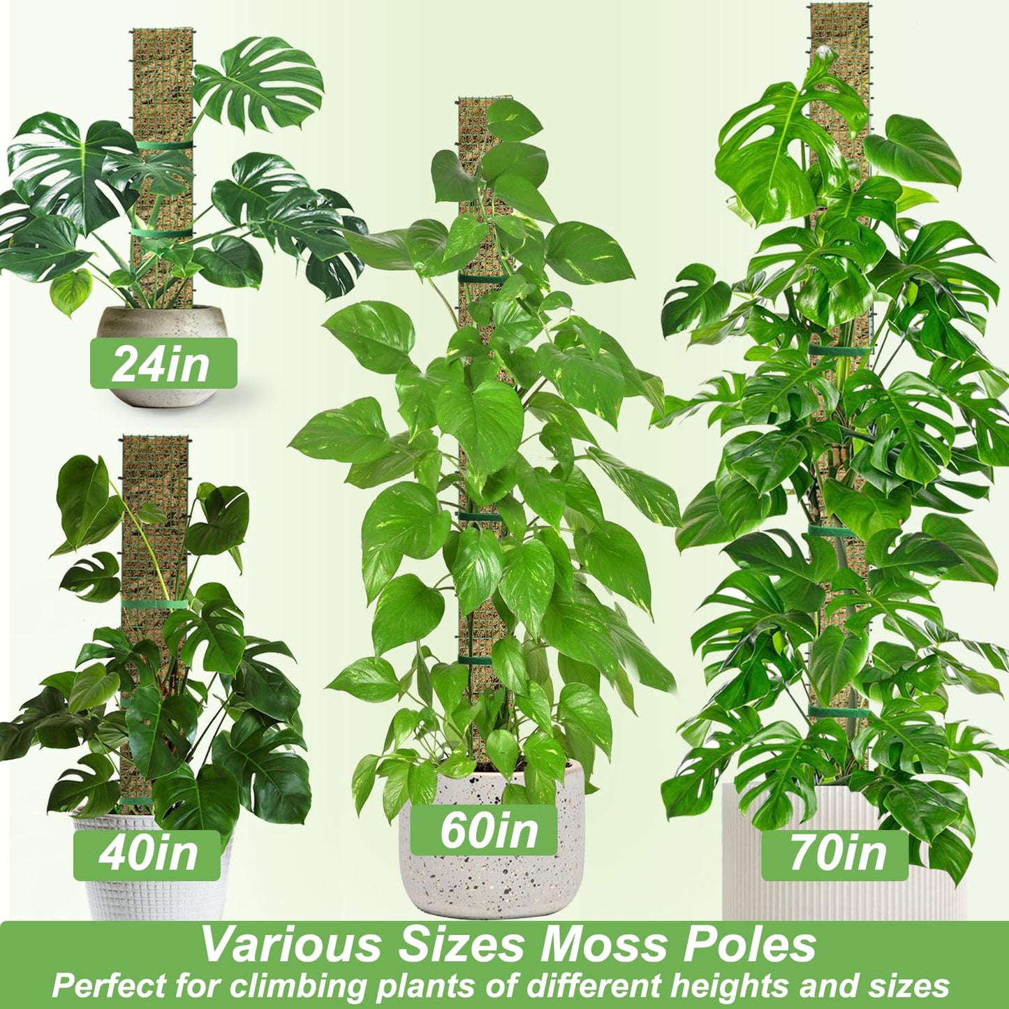 40" Metal Moss Pole, D Shape Sphagnum Moss Pole, Moss Poles for Climbing Plants, Monstera, Indoor Climbing Plants (2Pcs 40")