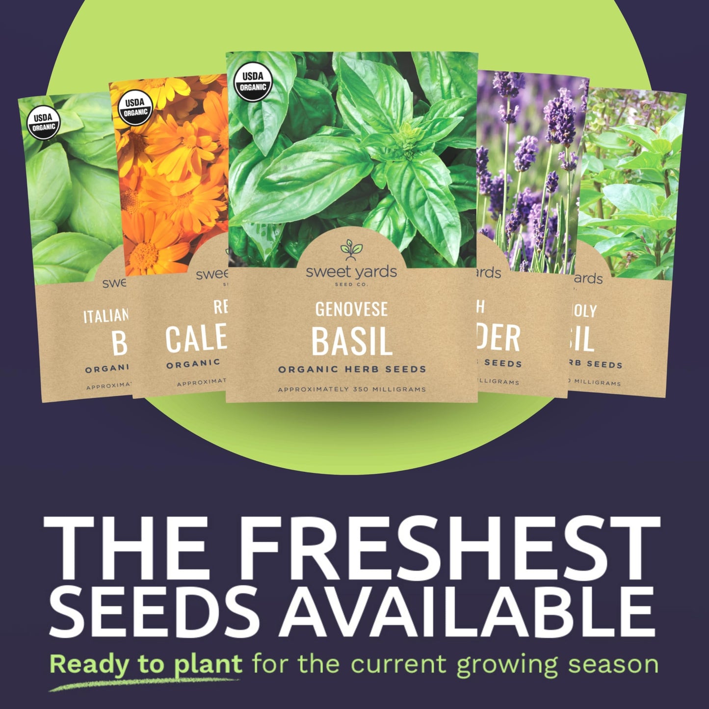 Organic Herb Seeds Variety Pack - 35 Individual Packs - 2026 Season - Basil, Cilantro, Dill, Thyme, Parsley and More! for Indoor & Outdoor Planting (Non-GMO, Certified Organic)