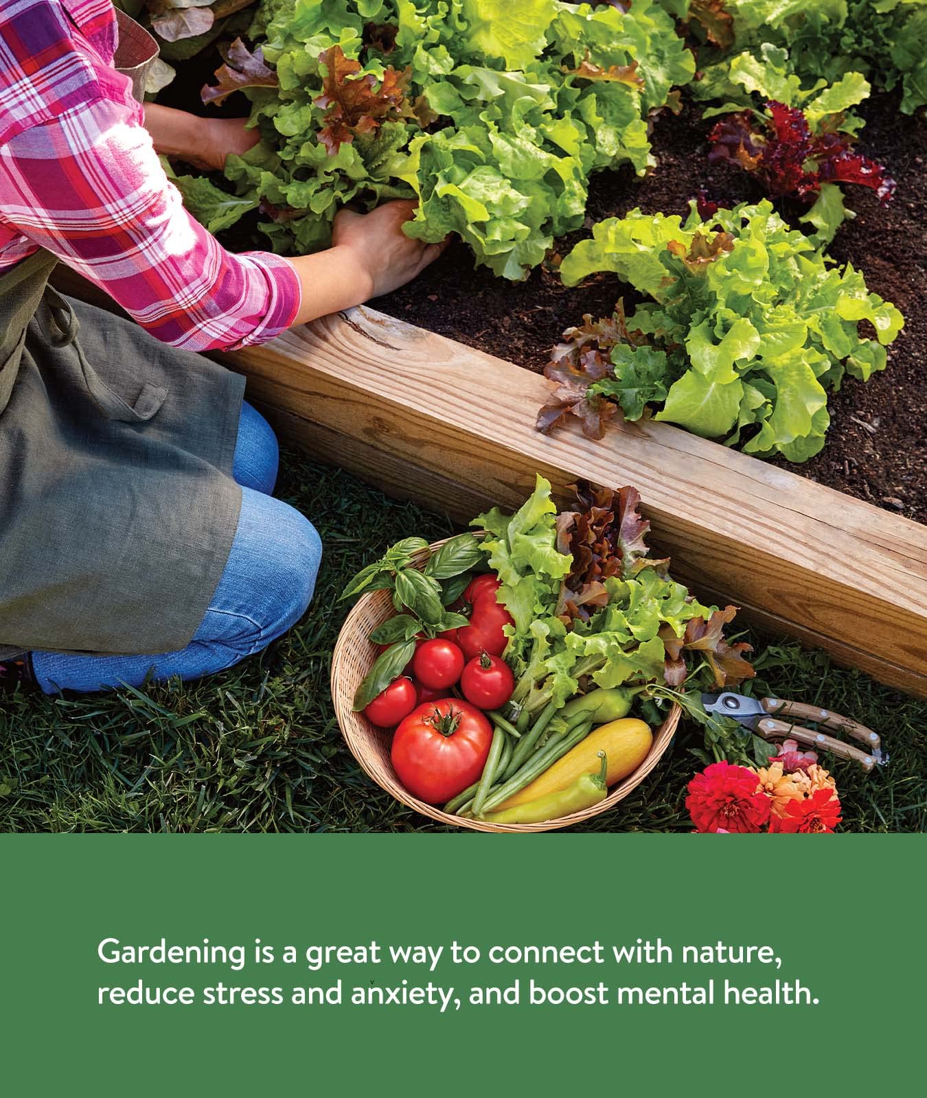 Burpee Garden Sown Flower, Herb & Vegetable 10 Packs of Non-GMO Basil, Lettuce, Cucumber, Radish, Spinach, Kale, Zucchini, Sunflower & Marigold, Seeds for Planting