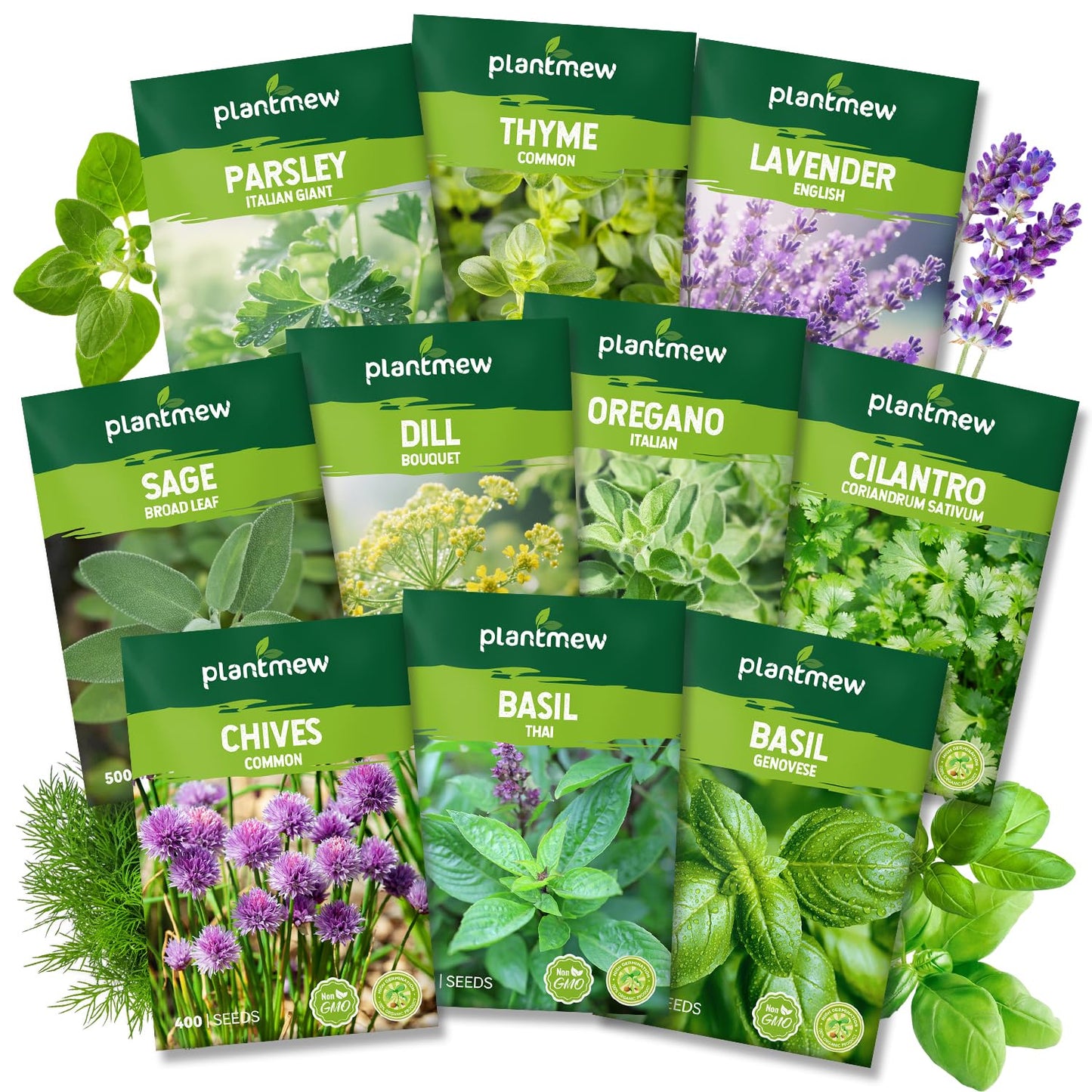 PLANTMEW 10 Herb Seeds Variety Pack - 7,000+ Heirloom Seeds - Basil, Cilantro, Lavender, Parsley, Dill, Thyme, Chives, Oregano, Sage, Herb Garden Kit for Planting Home Garden, Gardening Gift