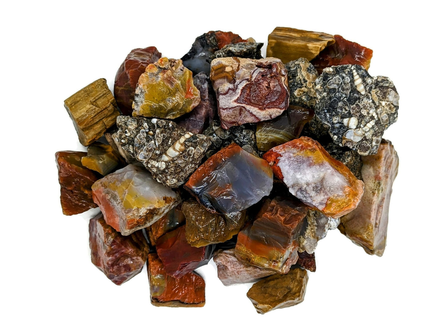 3 lbs Bulk Rough Agate, Jasper, Petrified Wood Stone Mix - 1 to 2 Inch Mixed Sizes. Natural Stones Perfect for Rock Tumbling, Wire Wrapping, Fountain, Decoration, Lapidary or Energy Stones