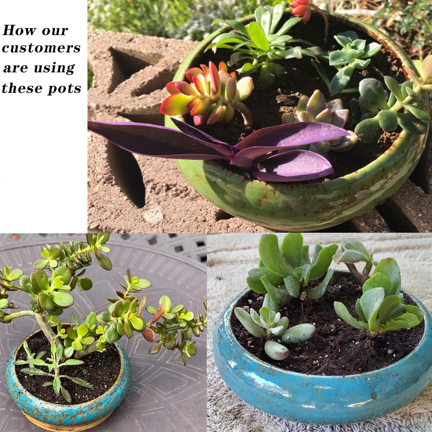 ARTKETTY Succulent Pots - 7.3/10 Inch Large Plant Pot Set of 2, Ceramic Bonsai Pot with Drainage Tray Shallow Planters for Indoor Succulents Glazed Cactus Flower Plant Container