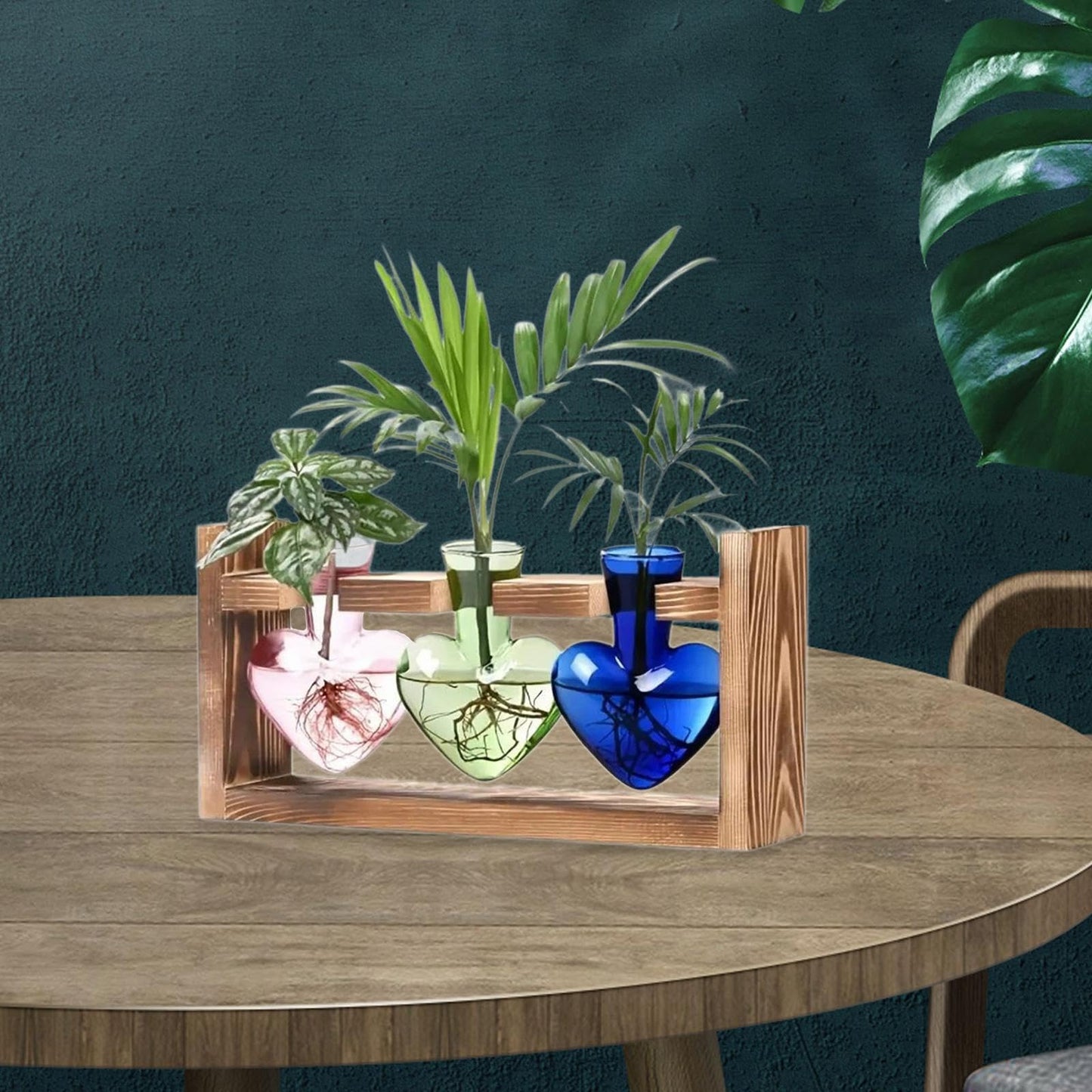 Miaomiaoco Hydroponic Flower Vase Glass Vase Table Centerpiece Plant Propagation Modern Propagating Jar Plant Terrarium for Dining Table, Pink Green (Color)