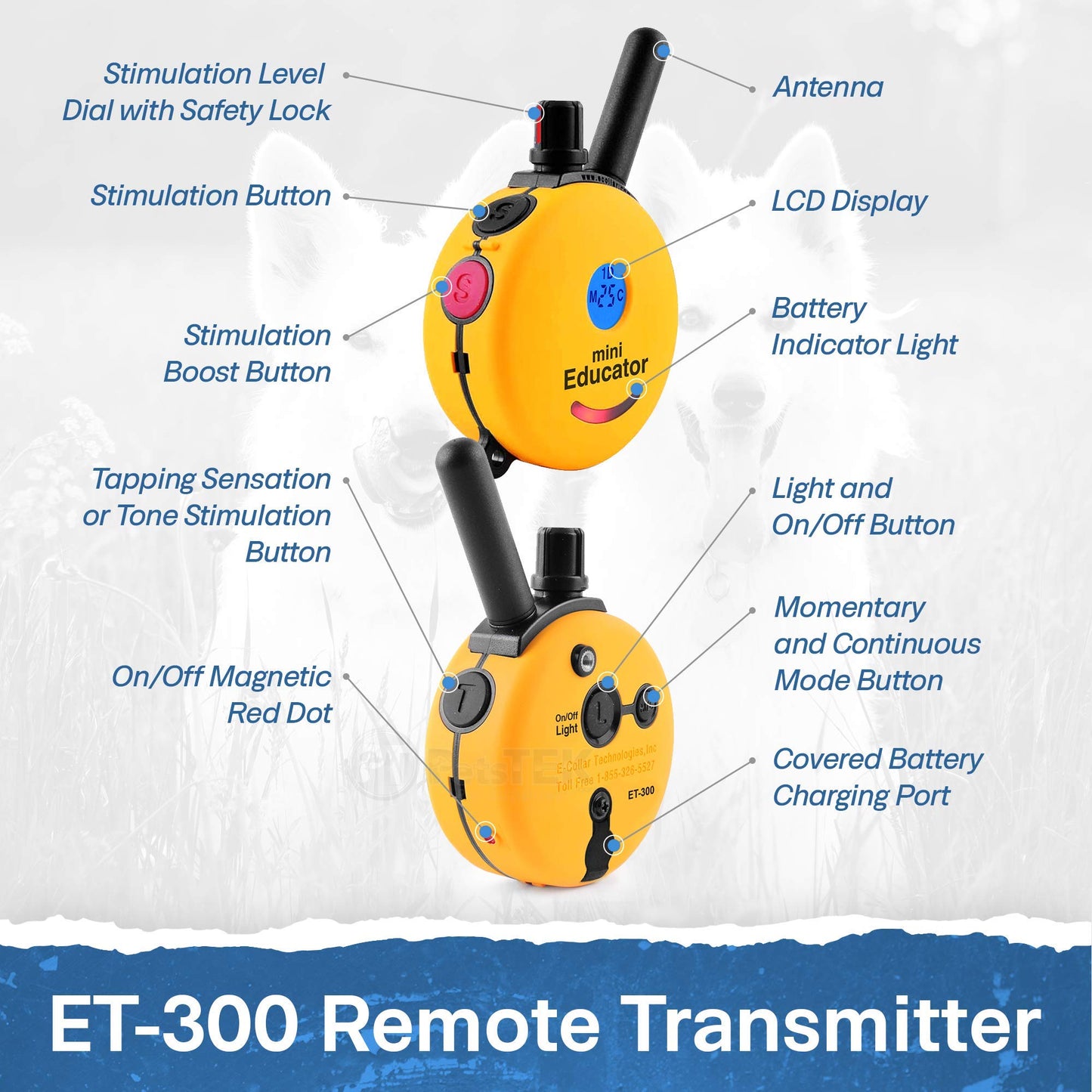 Educator ET-300 Mini E Collar for Dog Training with Remote - 1/2 Mile Range, Waterproof, 100 Blunt Stimulation Levels, Tone or Vibration Mode, Night Light Tracking for Small, Medium & Large Dogs