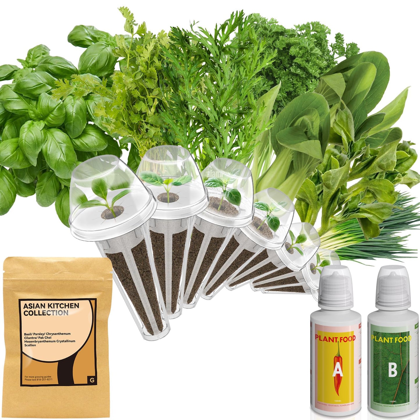 inbloom Asian Herb Seed Pod Kit for AeroGarden, iDoo, Ahopegarden, 7 Pods with 350+ Seeds (Basil, Parsley, Cilantro, Chrysanthemum, Pak Choi, Crystalline Ice Plant, Onion) Hydroponics Growing System