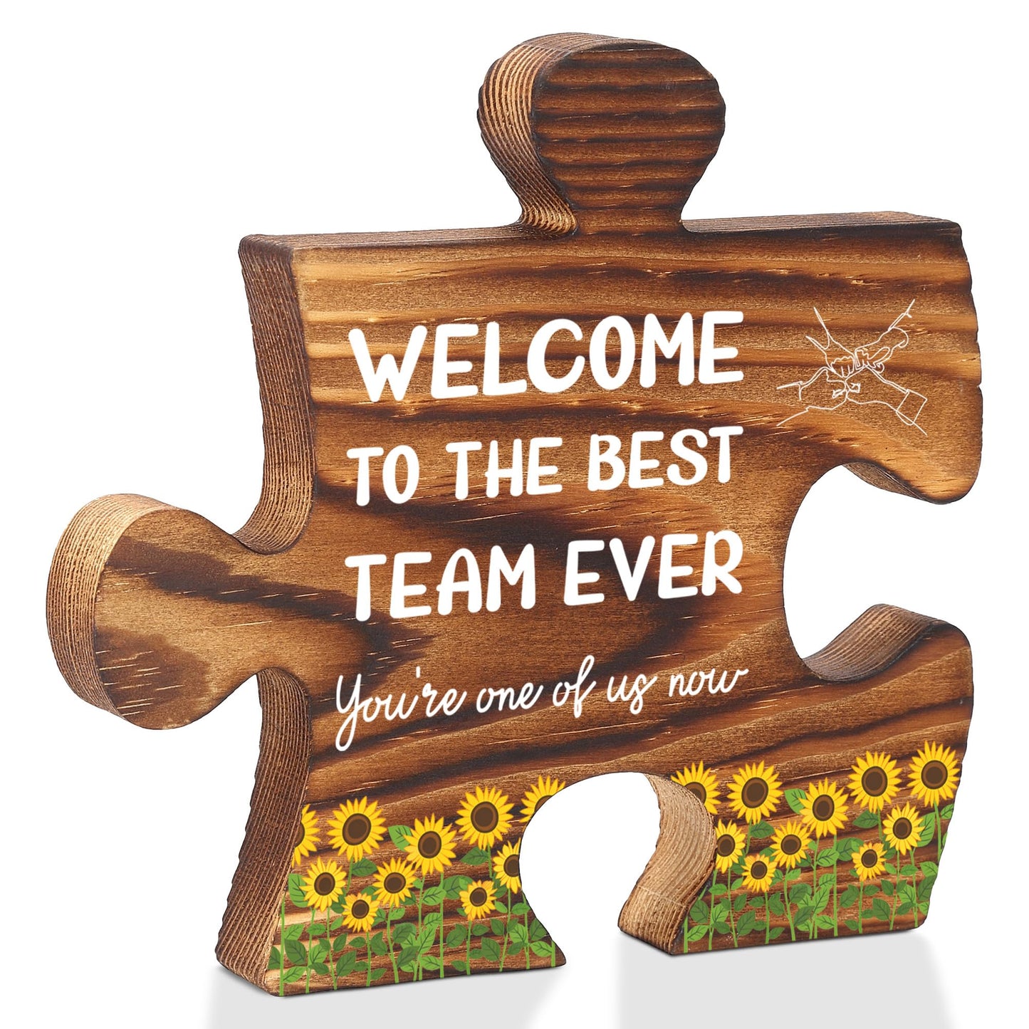 Welcome to the Team Puzzle Desk Sign for New Coworker Employee, Office Decor Gift for Women Men, Onboarding Thank You Present for Team Member, Work Anniversary, Promotion, Birthday - FSE357