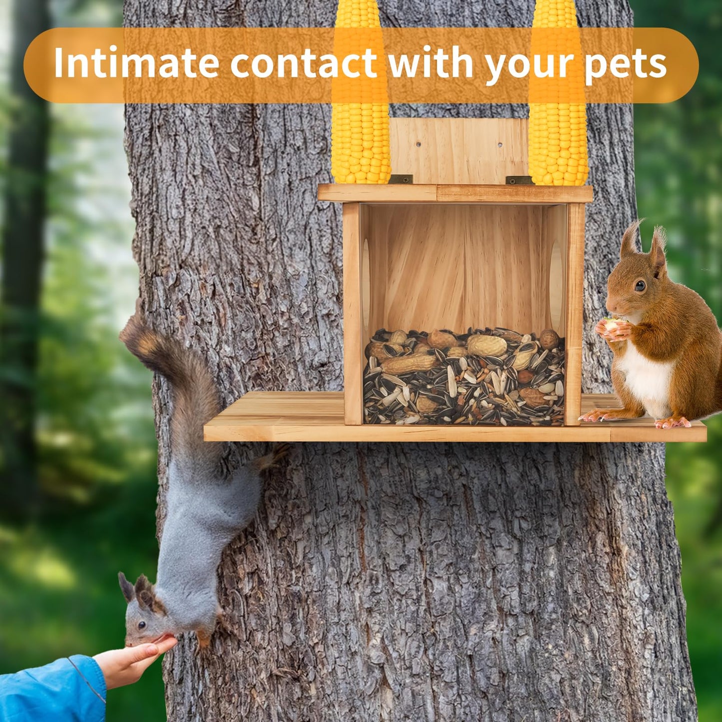 Wood Squirrel Feeder, Squirrel Feeders for Outside Winter, Wooden Chipmunk Feeder Waterproof for Corn, Peanuts, Durable Box Easy to Fill with Removable Front Panel