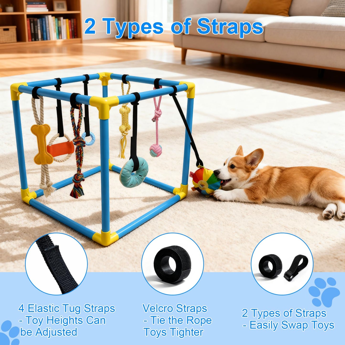 LemSen Puppy Play Gym with 8 Hanging Toys - Indoor Jungle Gym for Small Dogs, Interactive Enrichment Activity Center for Puppies, 19.5" PVC Frame with Teething Squeaky Toys to Keep Them Busy